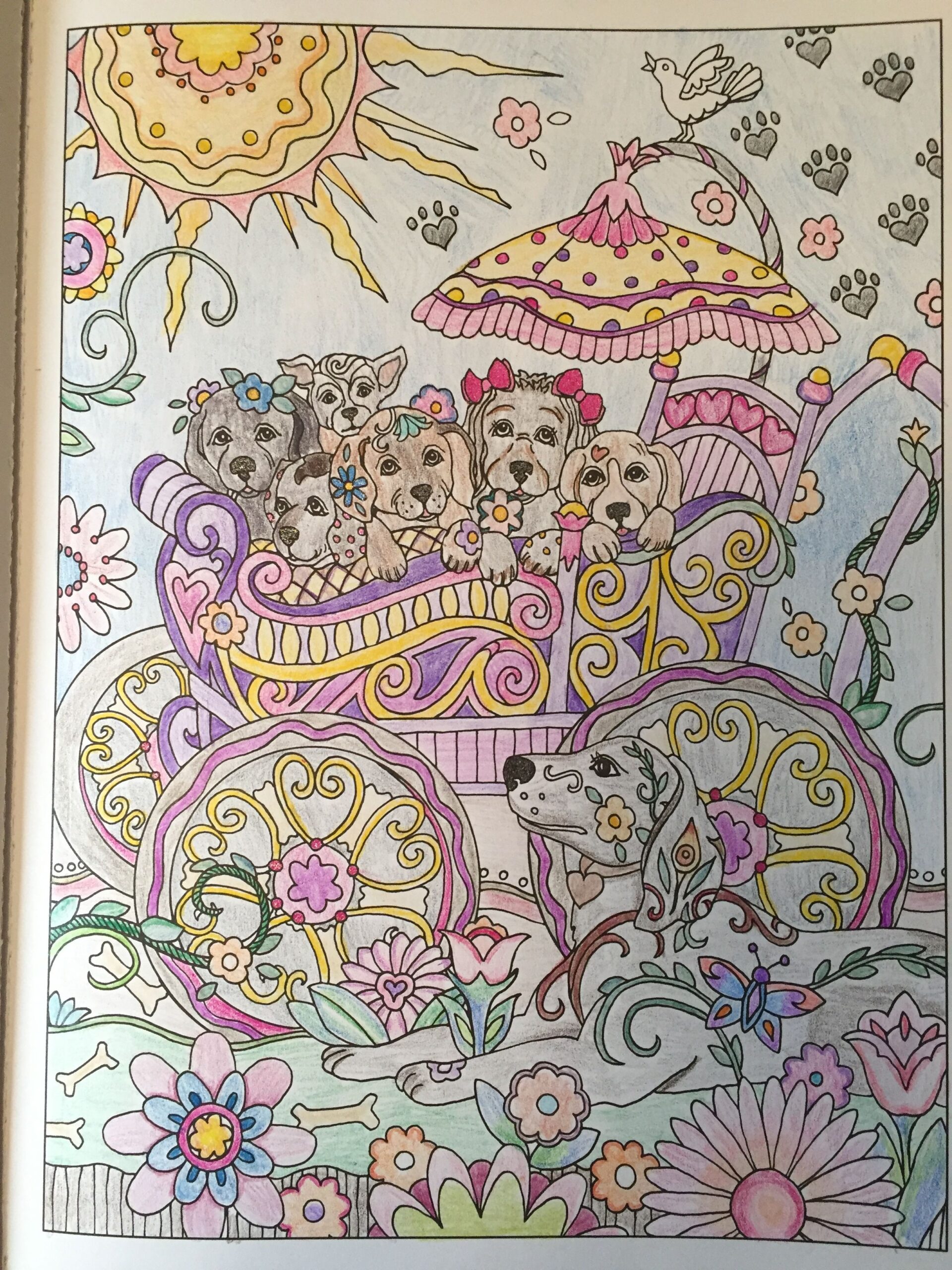 Dazzlin Dogs Finished Coloring Pages