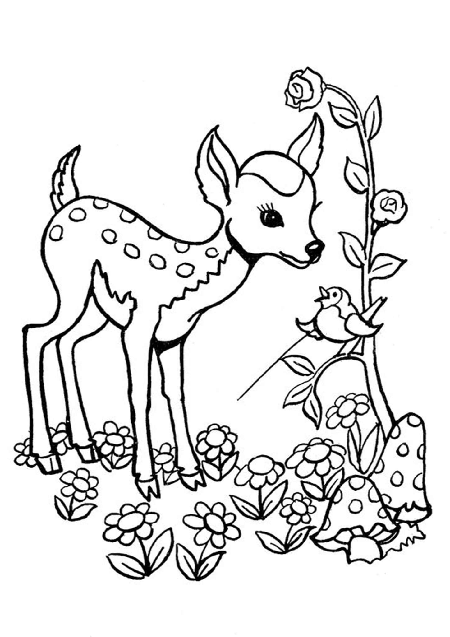 Deer Coloring Page