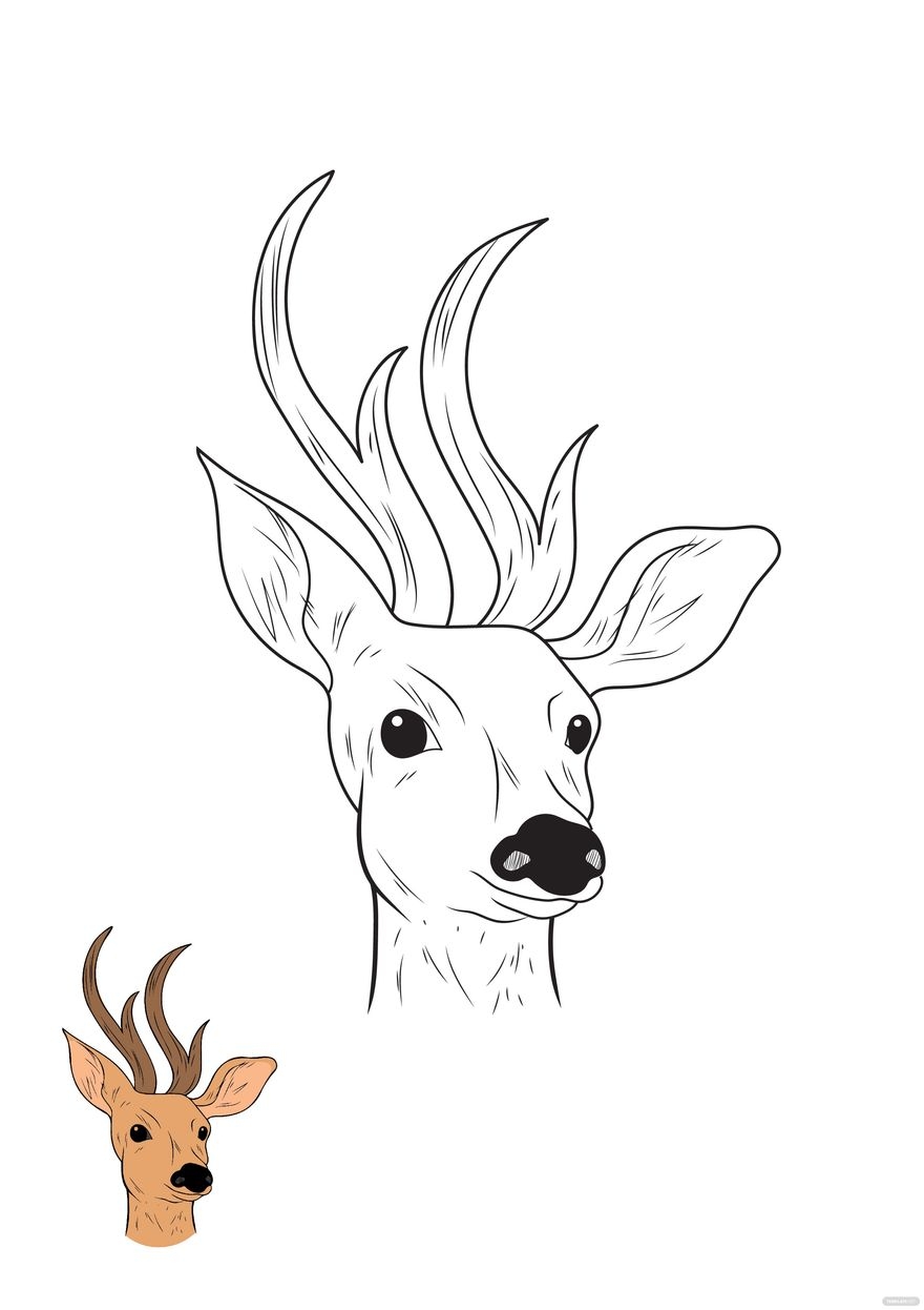 Deer Head Coloring Page