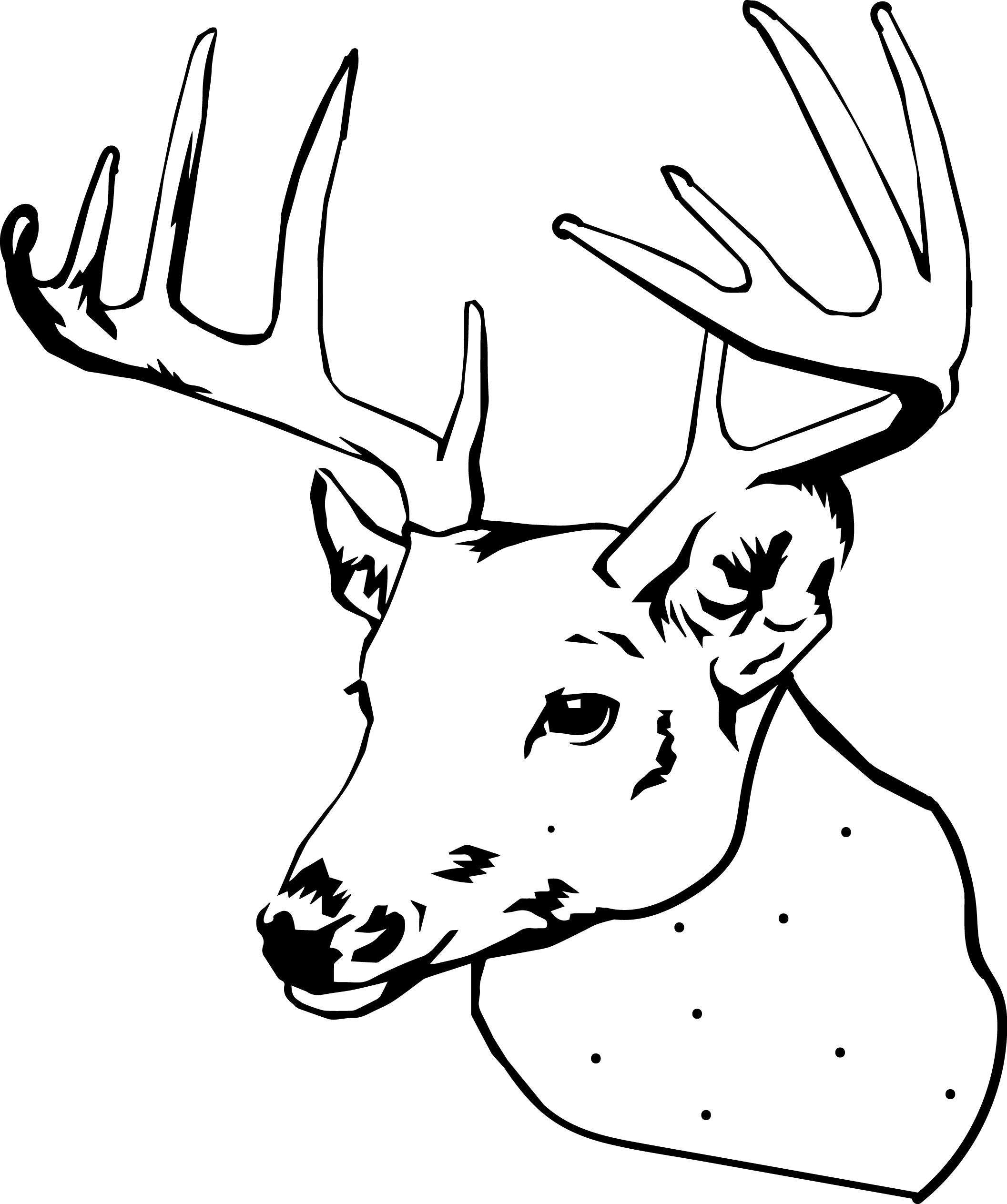 Deer Head Coloring Pages At GetColorings Free Printable Colorings Pages To Print And Color