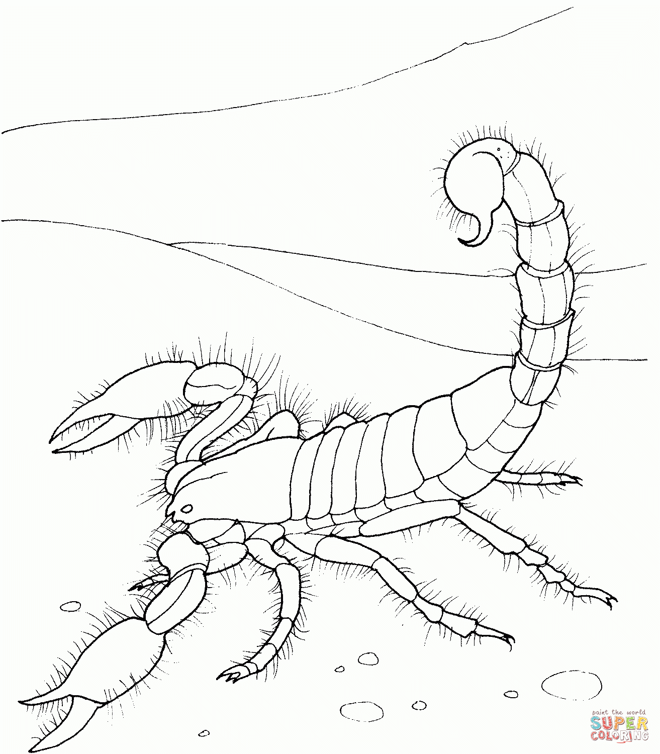 Desert Animals Coloring Pages North American Coloring Pages Free Printable Desert Animals