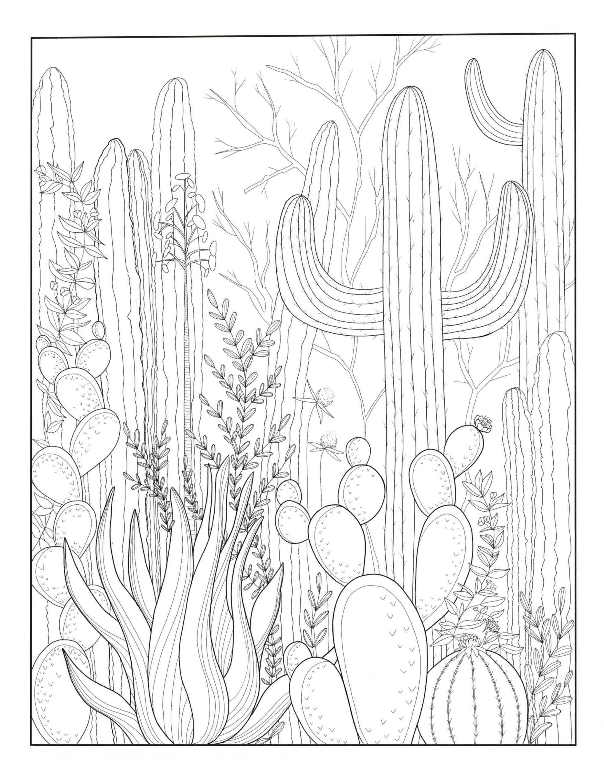 Desert Coloring Page Life Can Get Better Quotes