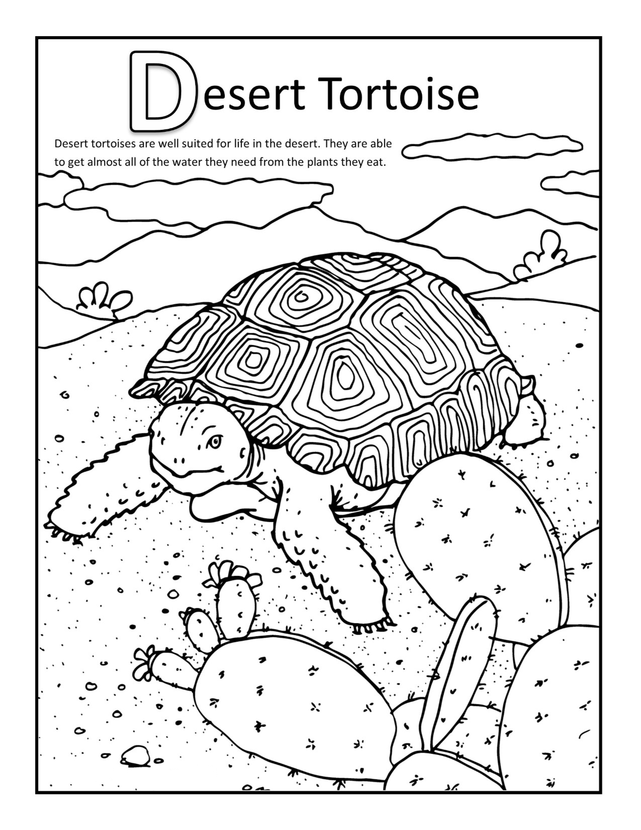 Desert Animal Coloring Pages