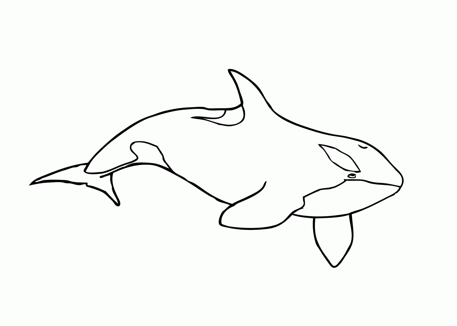 Dibujos De Orcas Para Colorear Im Genes Y Fotos