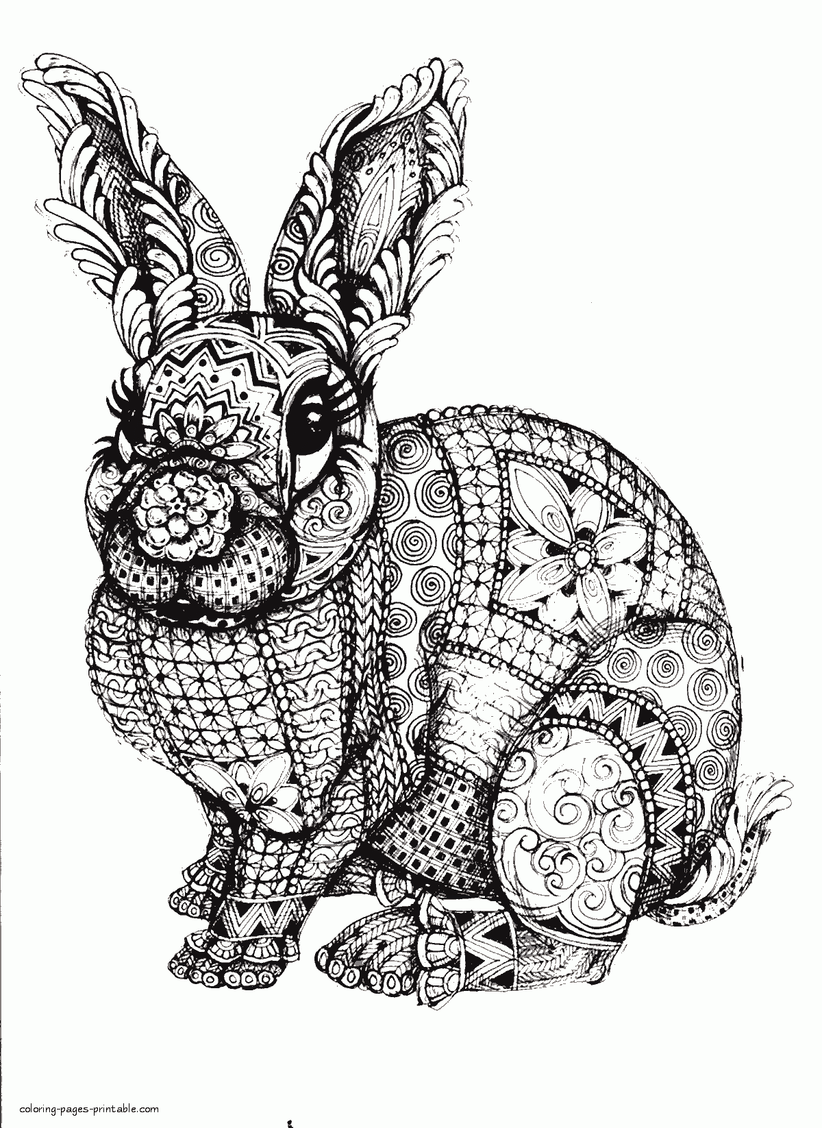 Difficult Animal Coloring Pages A Rabbit COLORING PAGES PRINTABLE COM