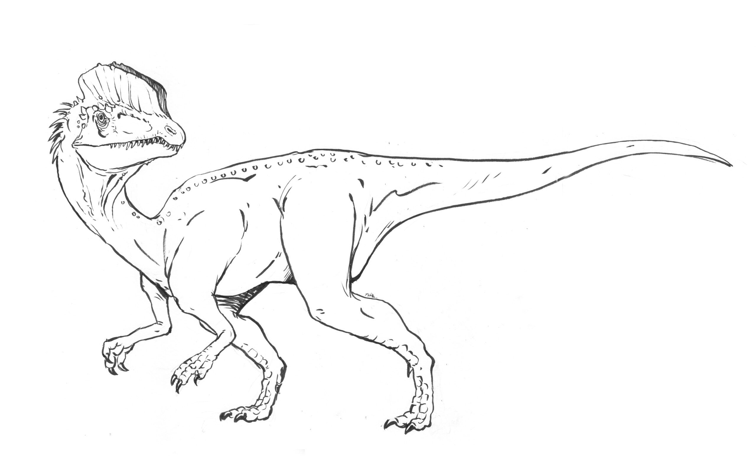Dilophosaurus Coloring Page Dinosaurs Pictures And Facts