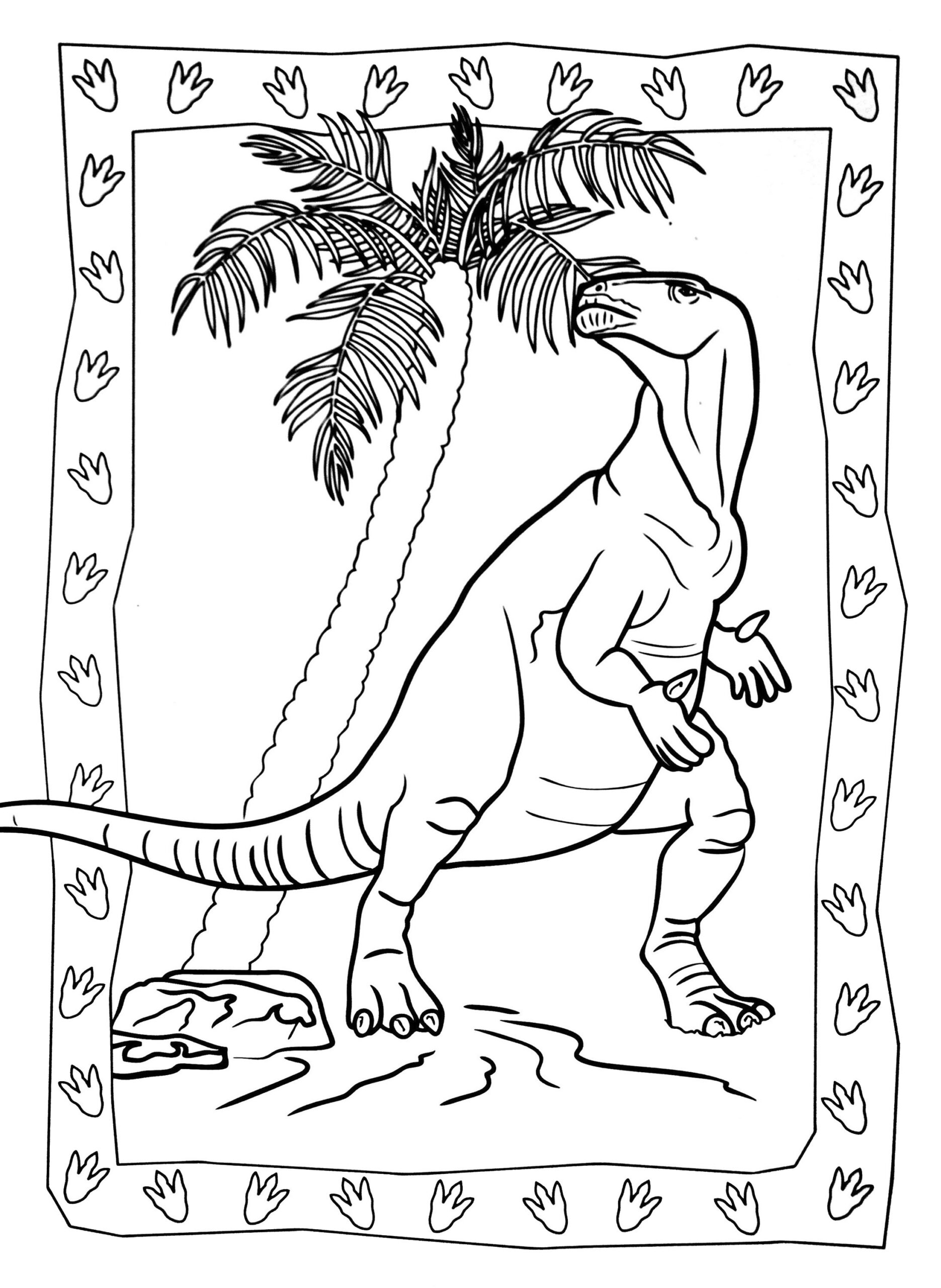 Coloring Pages Dinosaurs