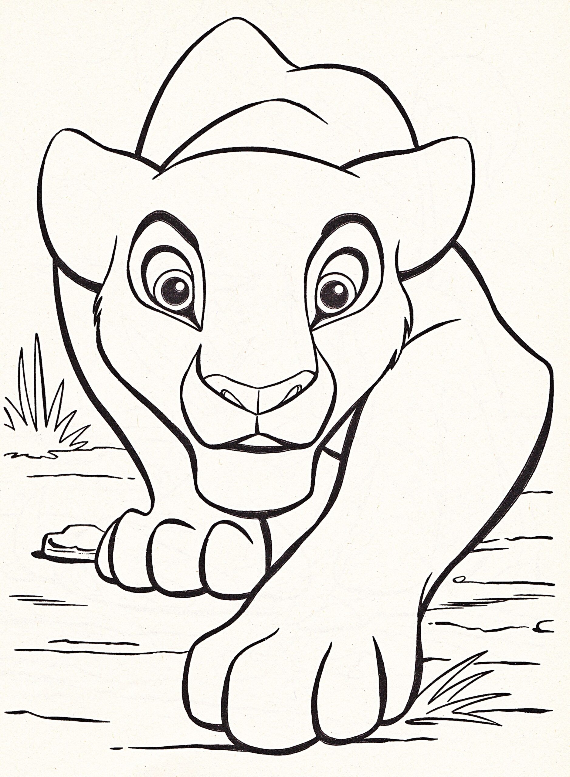 Disney Coloring Pages Lion King Free Large Images Lion King Drawings Lion Coloring Pages