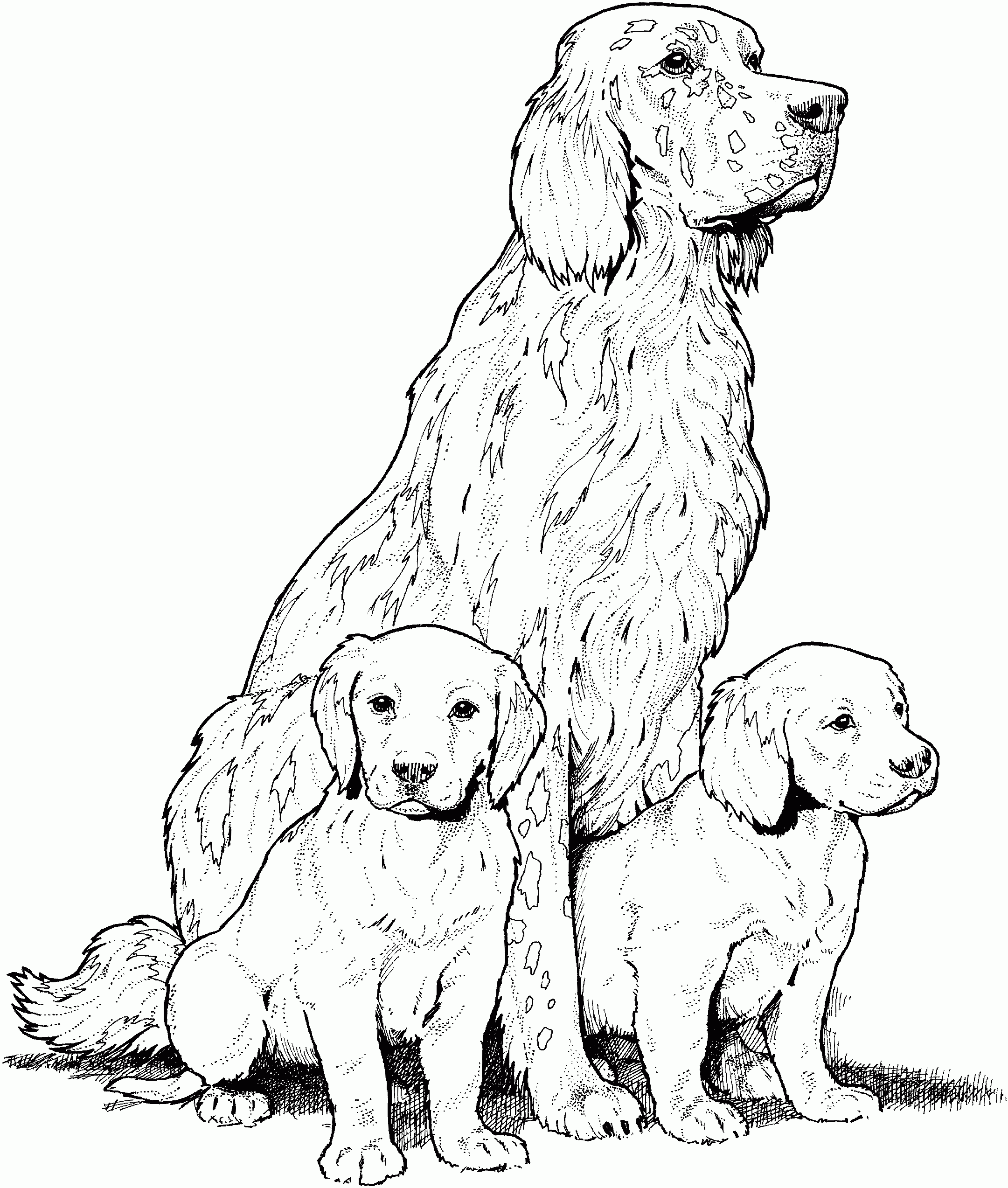 Dog Breed Coloring Pages