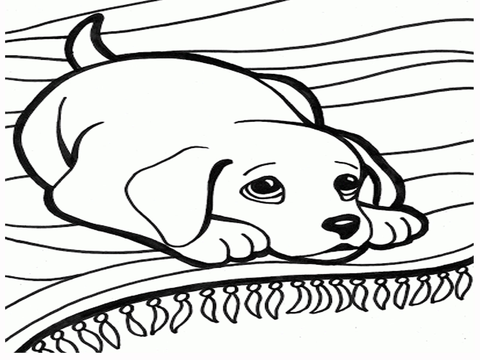 Free Printable Coloring Pages Dog