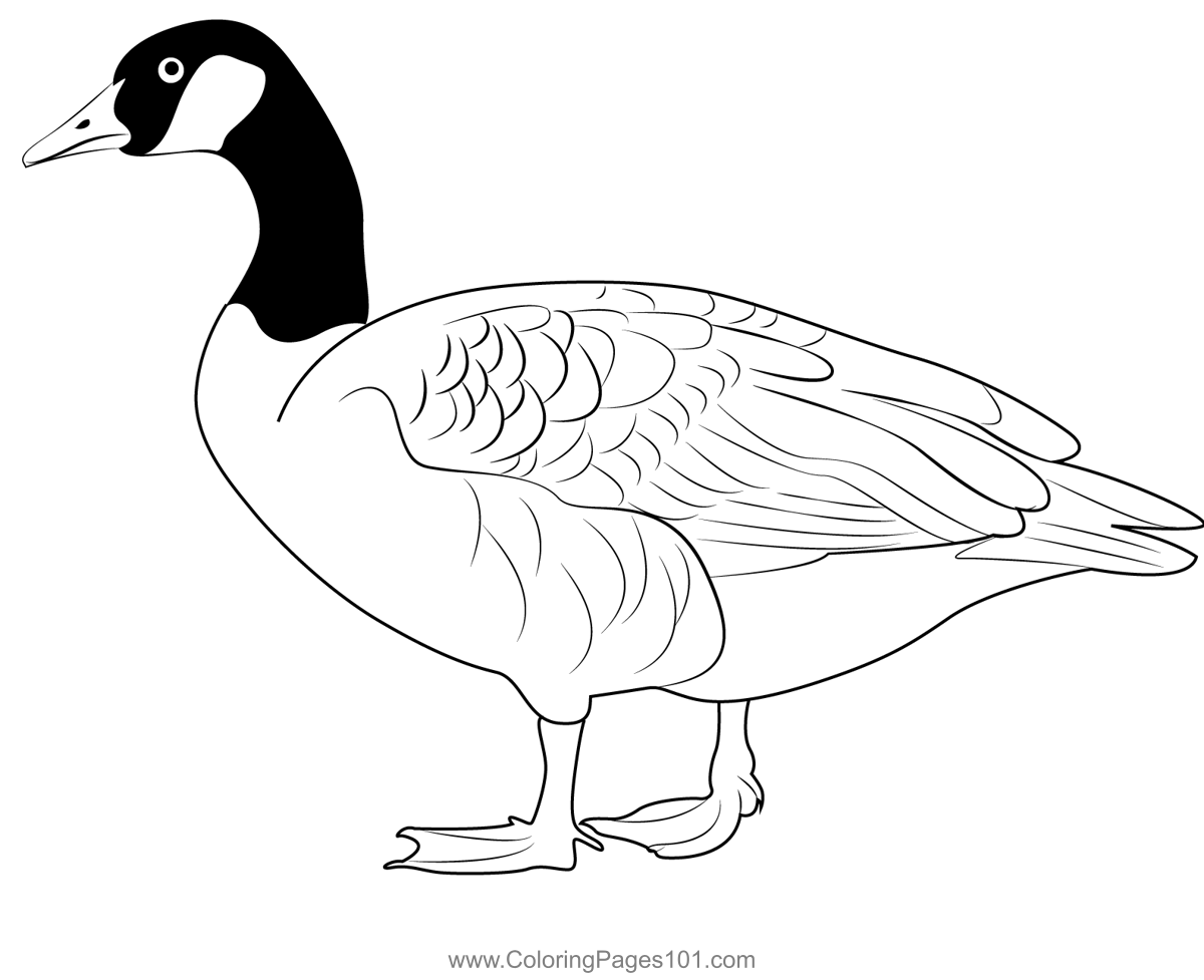 Domestic Goose Coloring Page For Kids Free Swans And Geese Printable Coloring Pages Online For
