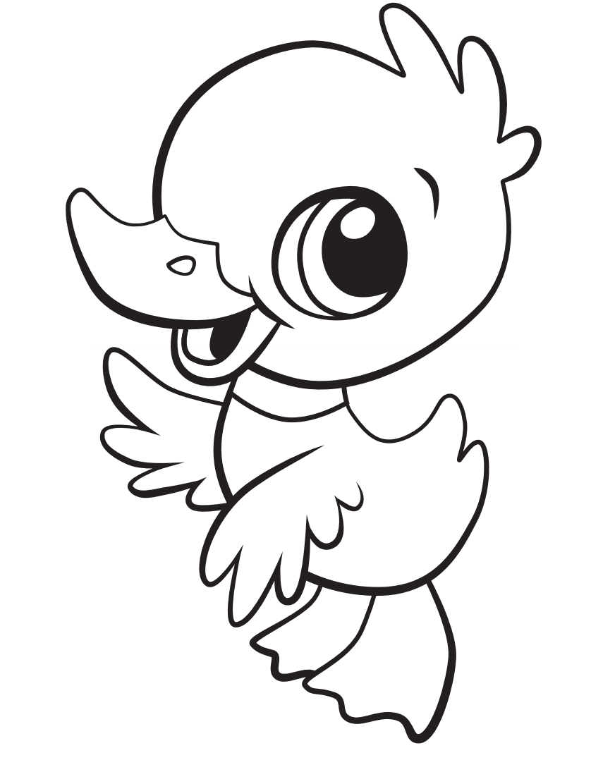 Duck Coloring Pages Printable Printable Word Searches