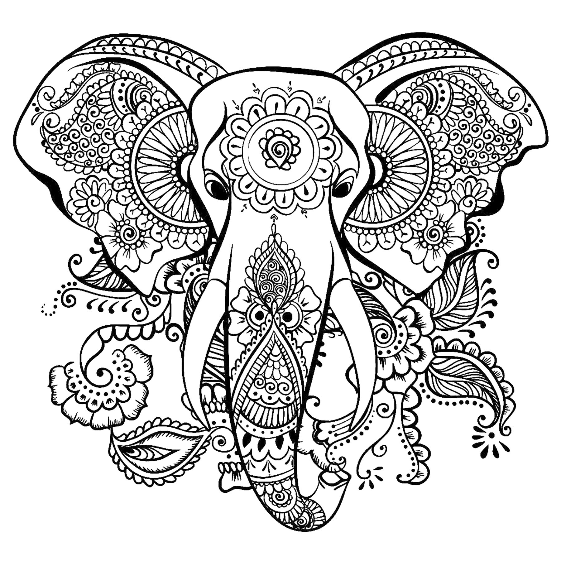Elegant Drawing Of An Elephant Elephant Coloring Pages For Adults