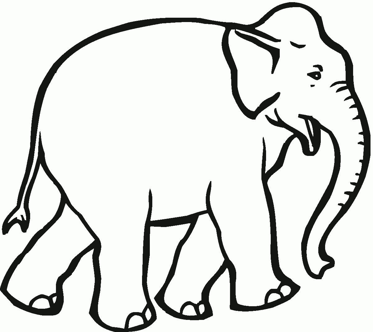 Elephant Coloring Pages Kidsuki