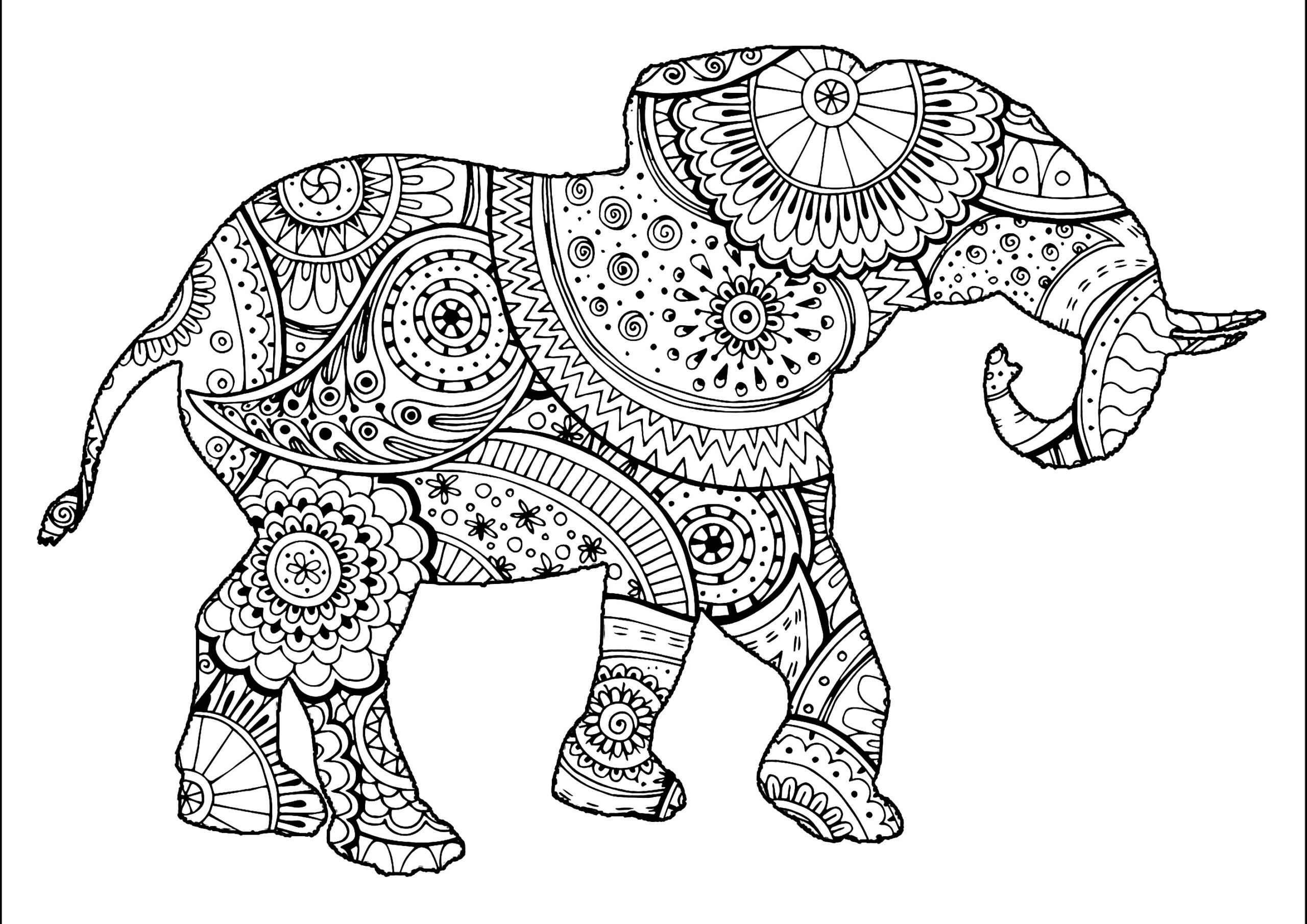 Elephant With Zentangle And Paisley Motifs Elephant Coloring Pages For Adults