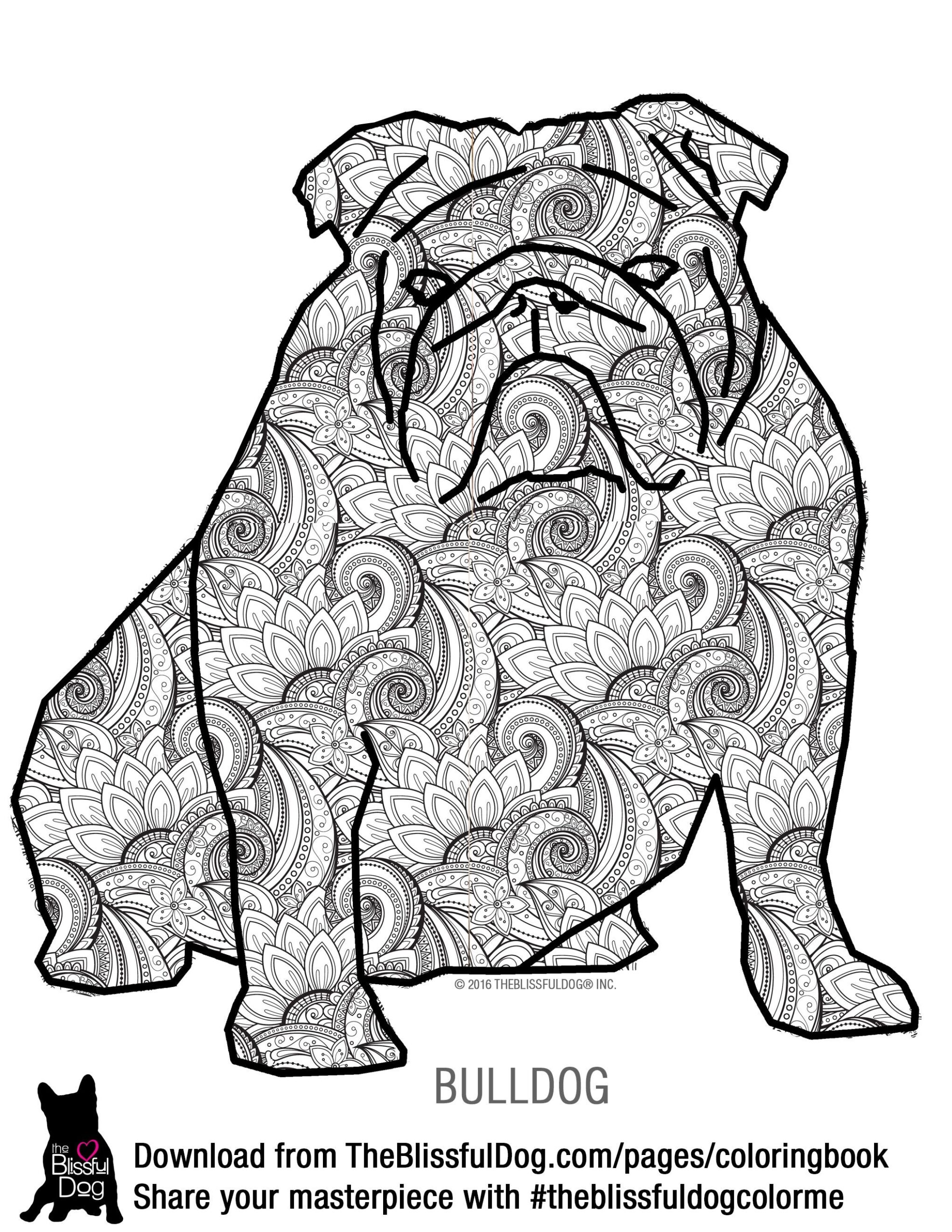 English Bulldog Coloring Pages Printable