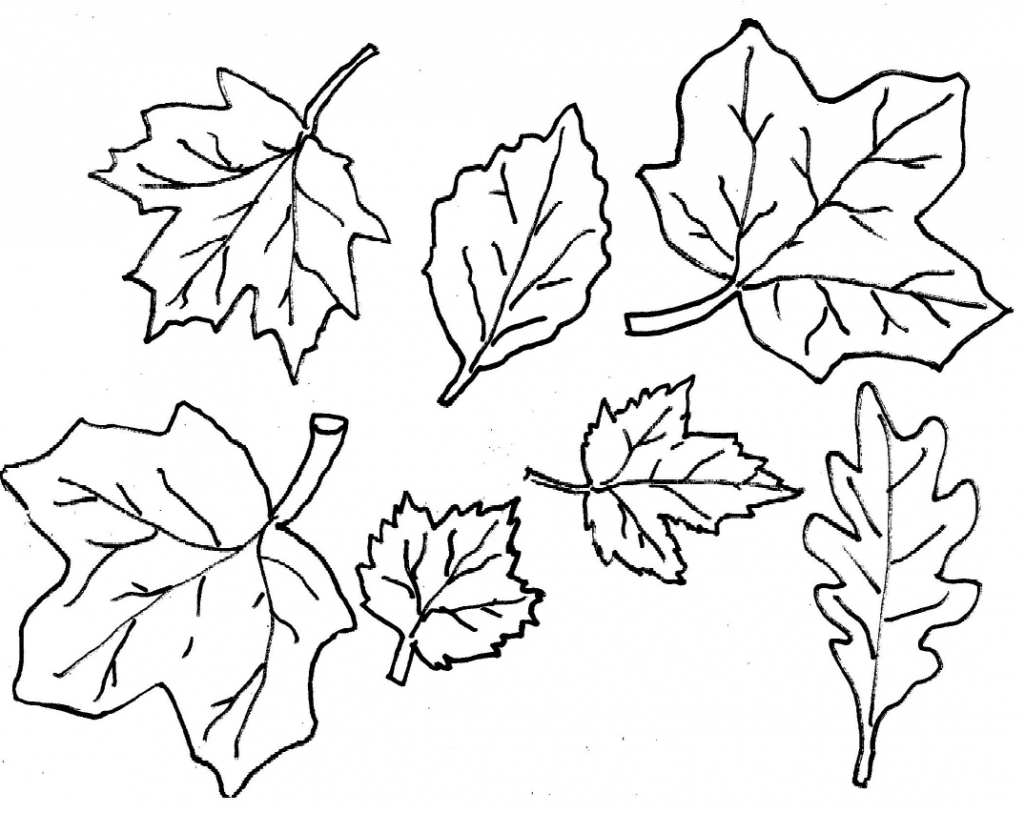 Fall Leaves Coloring Pages