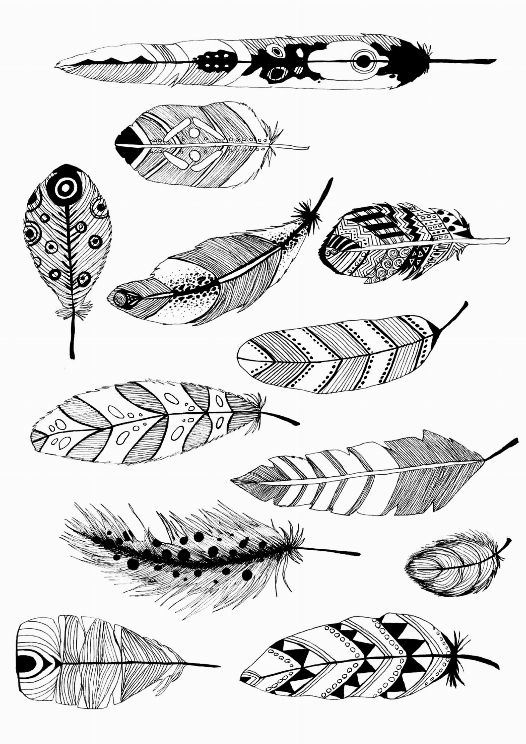 Feathers Coloring Pages Printable