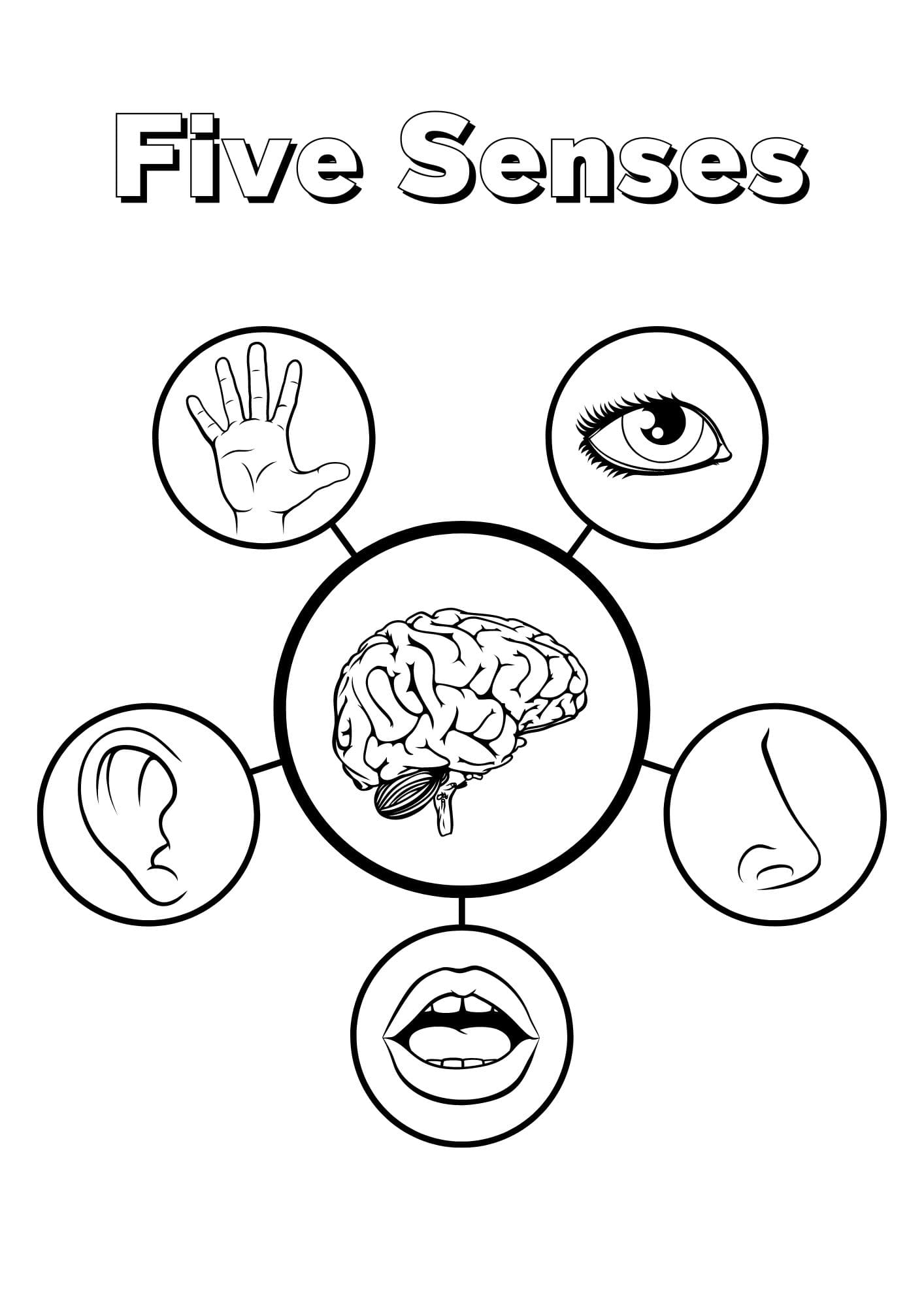 Five Senses Coloring Pages