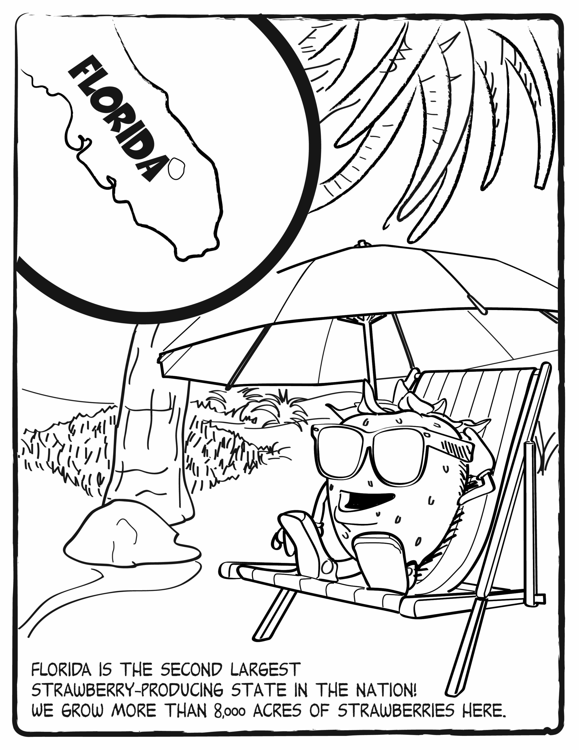 Florida Coloring Page At GetColorings Free Printable Colorings Pages To Print And Color
