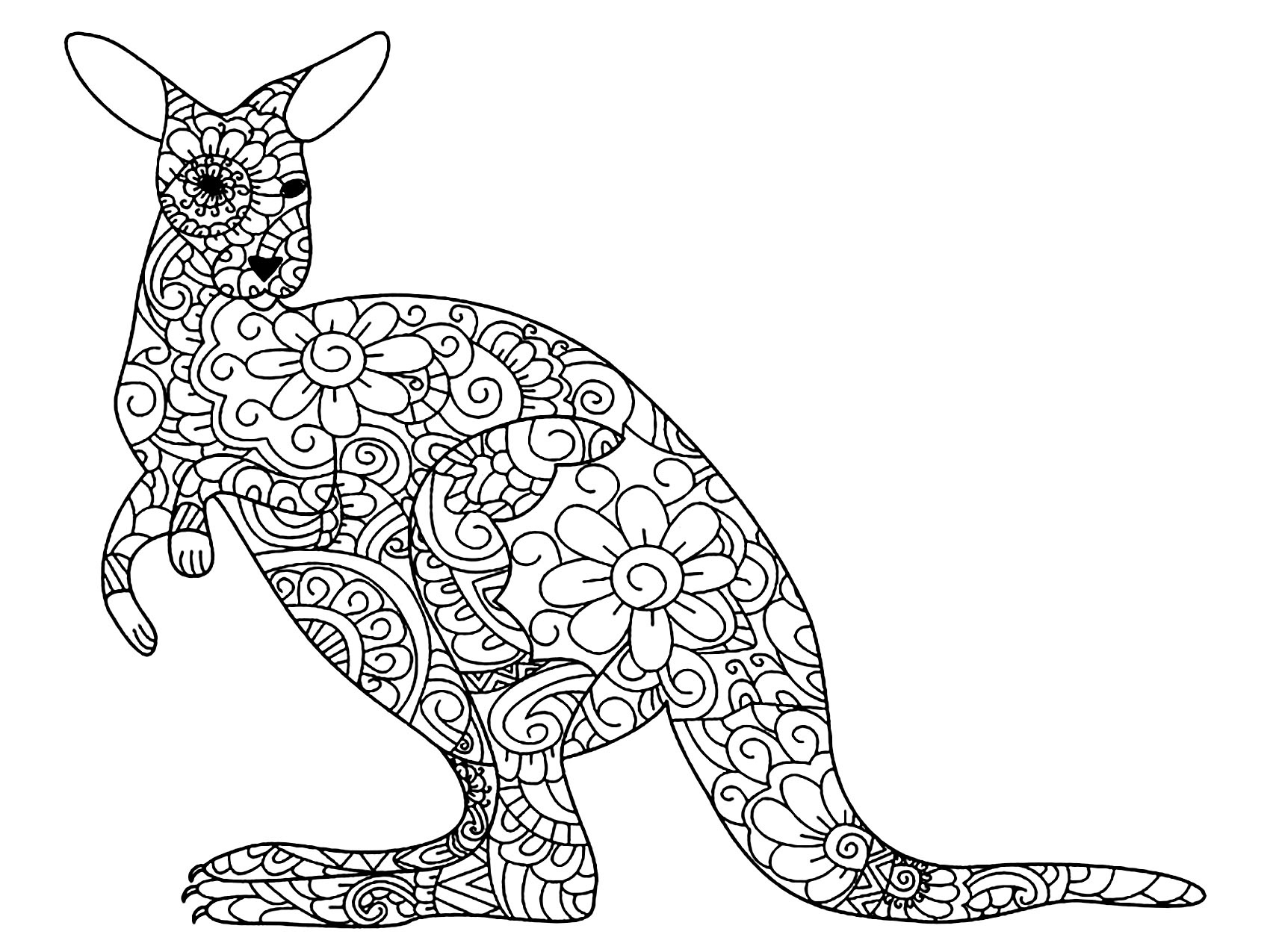 Flowery Kangaroo Kangaroo Coloring Pages For Kids