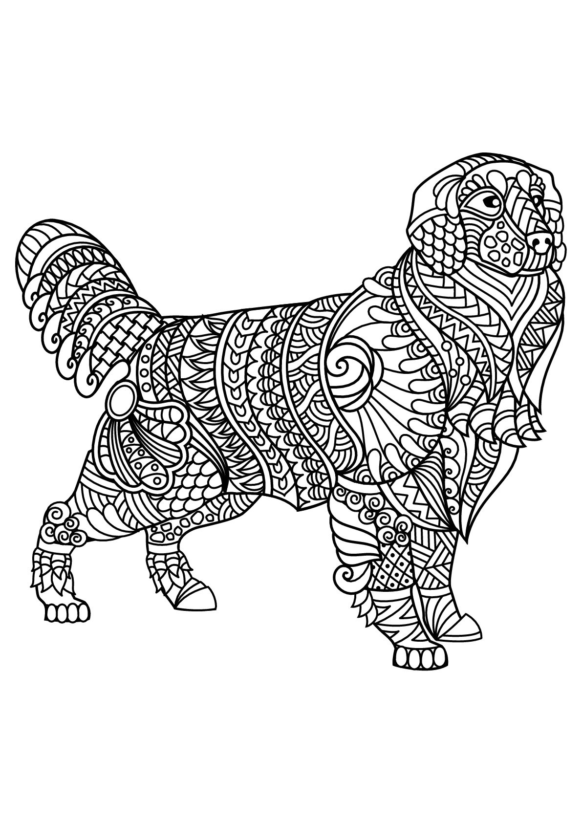 Free Book Dog Labrador Dogs Adult Coloring Pages