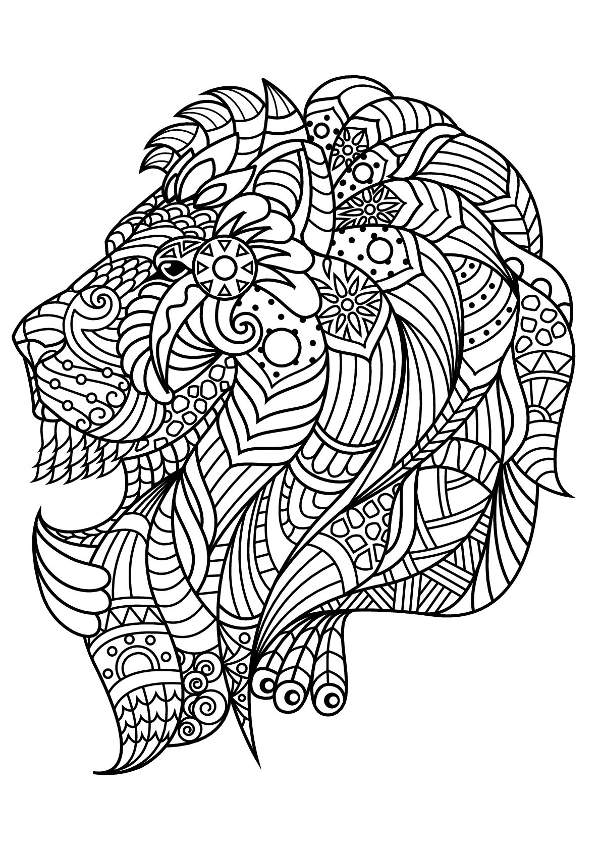 Free Book Lion Lion Coloring Pages For Adults