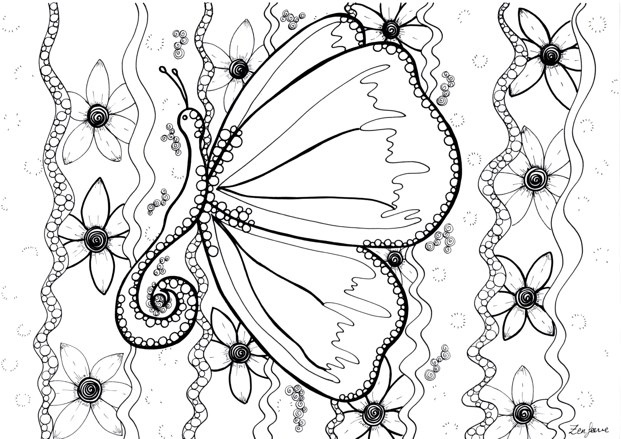Free Butterfly Drawing To Download And Color Butterflie Coloring Pages For Kids