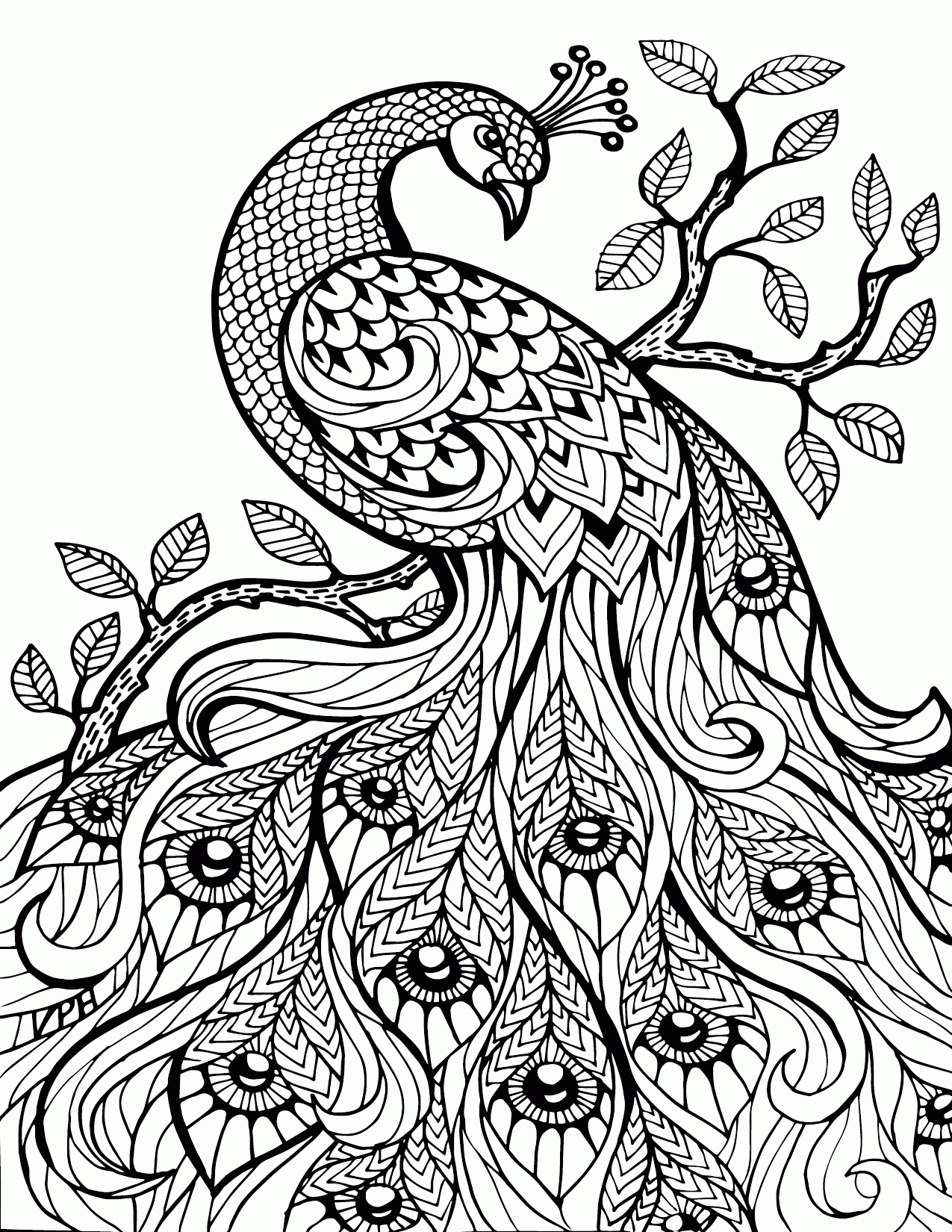 Adult Coloring Pages Animals