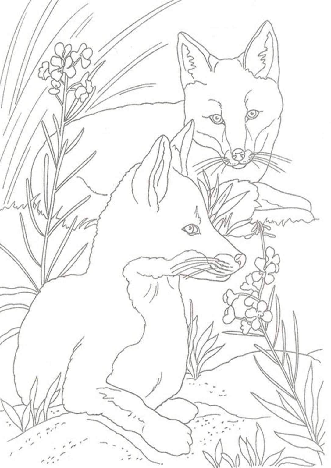Free Easy To Print Fox Coloring Pages Tulamama
