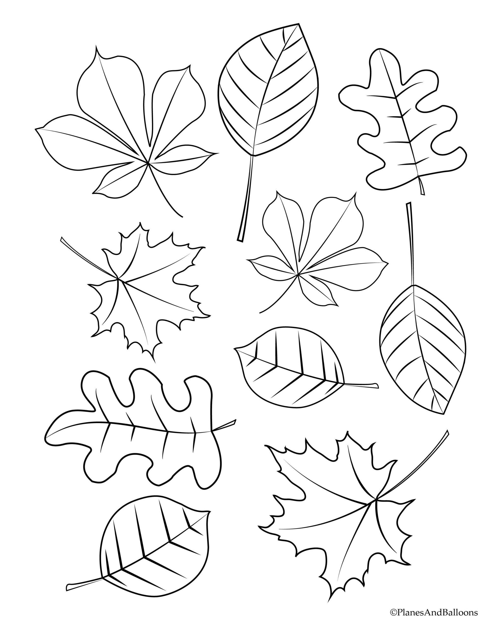 Free Fall Leaves Clip Art Collections Coloring Pages Amanda Gregory S Coloring Pages