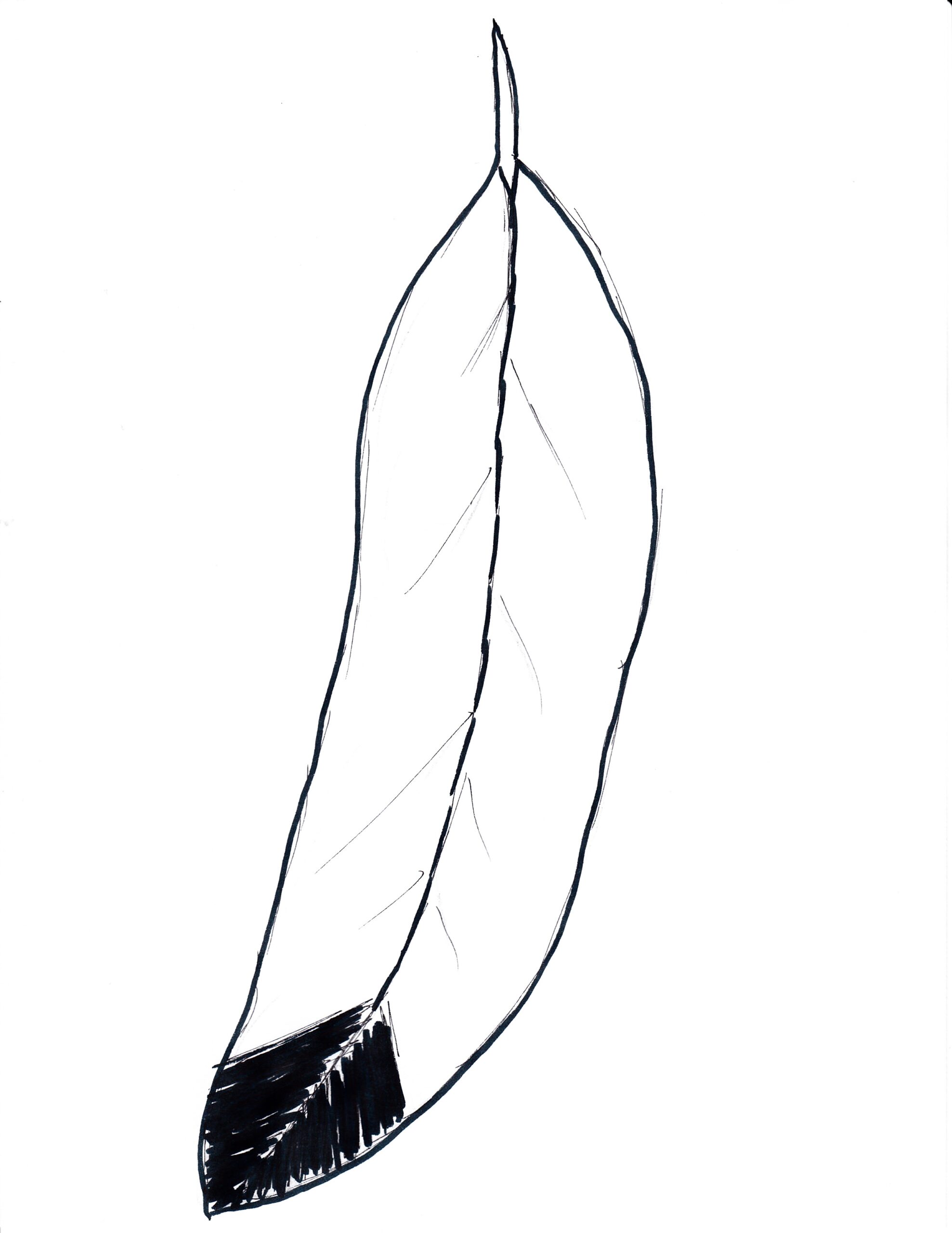 Feather Coloring Pages