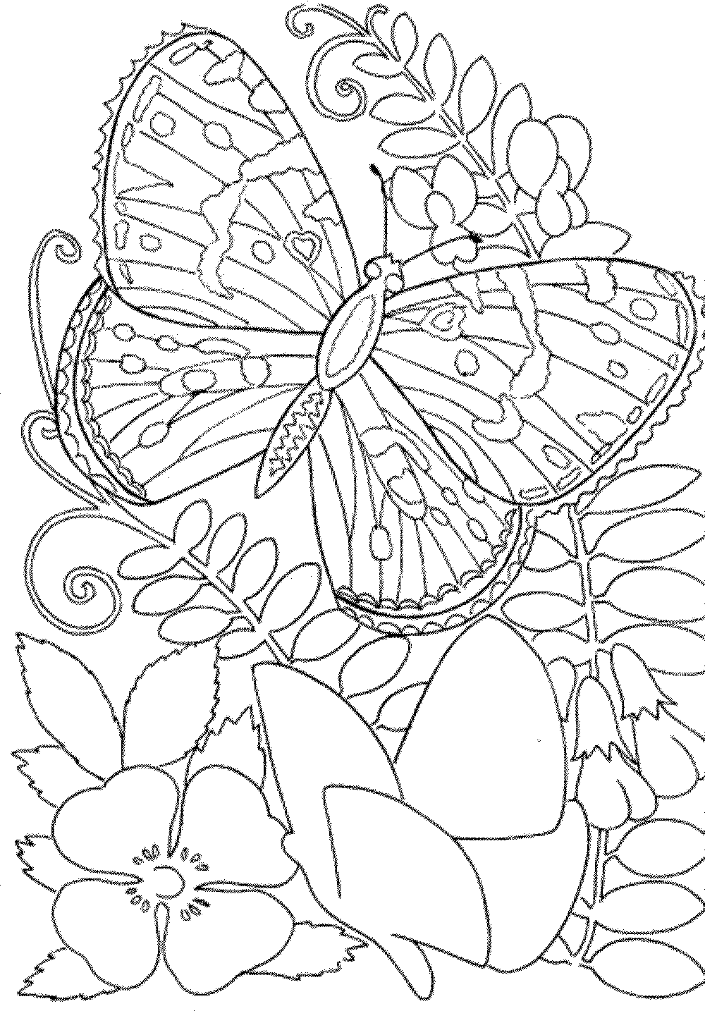 Free Free Printable Spring Coloring Pages For Adults Download Free Free Printable Spring