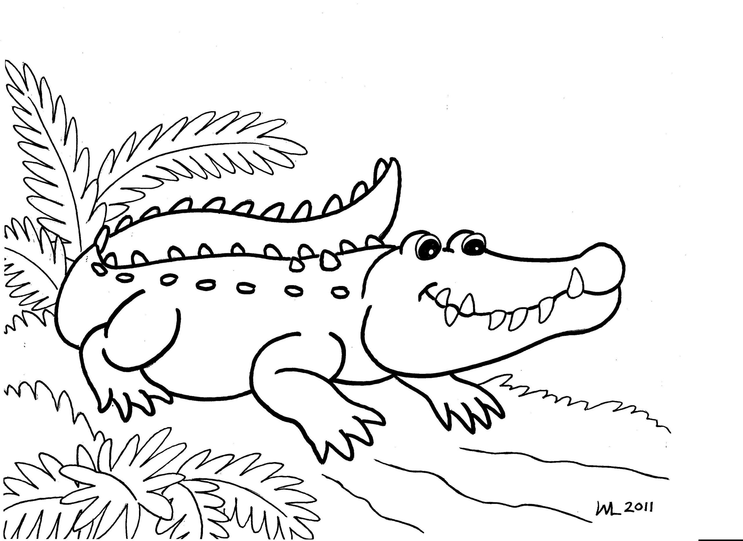 Crocodile Coloring Pages