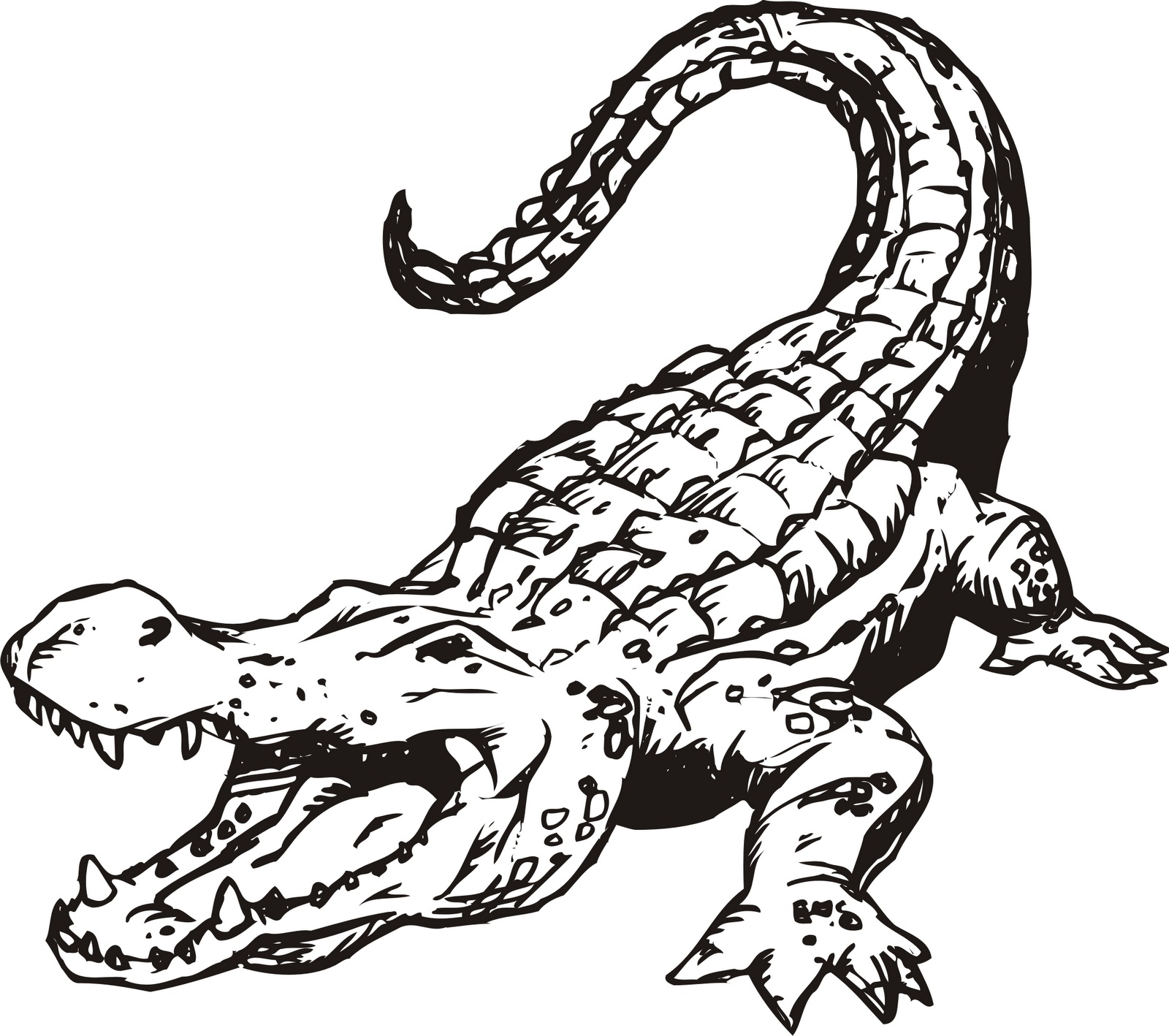 Crocodile Coloring Page