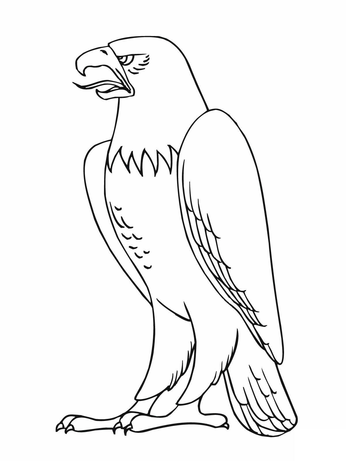 Eagle Coloring Pages