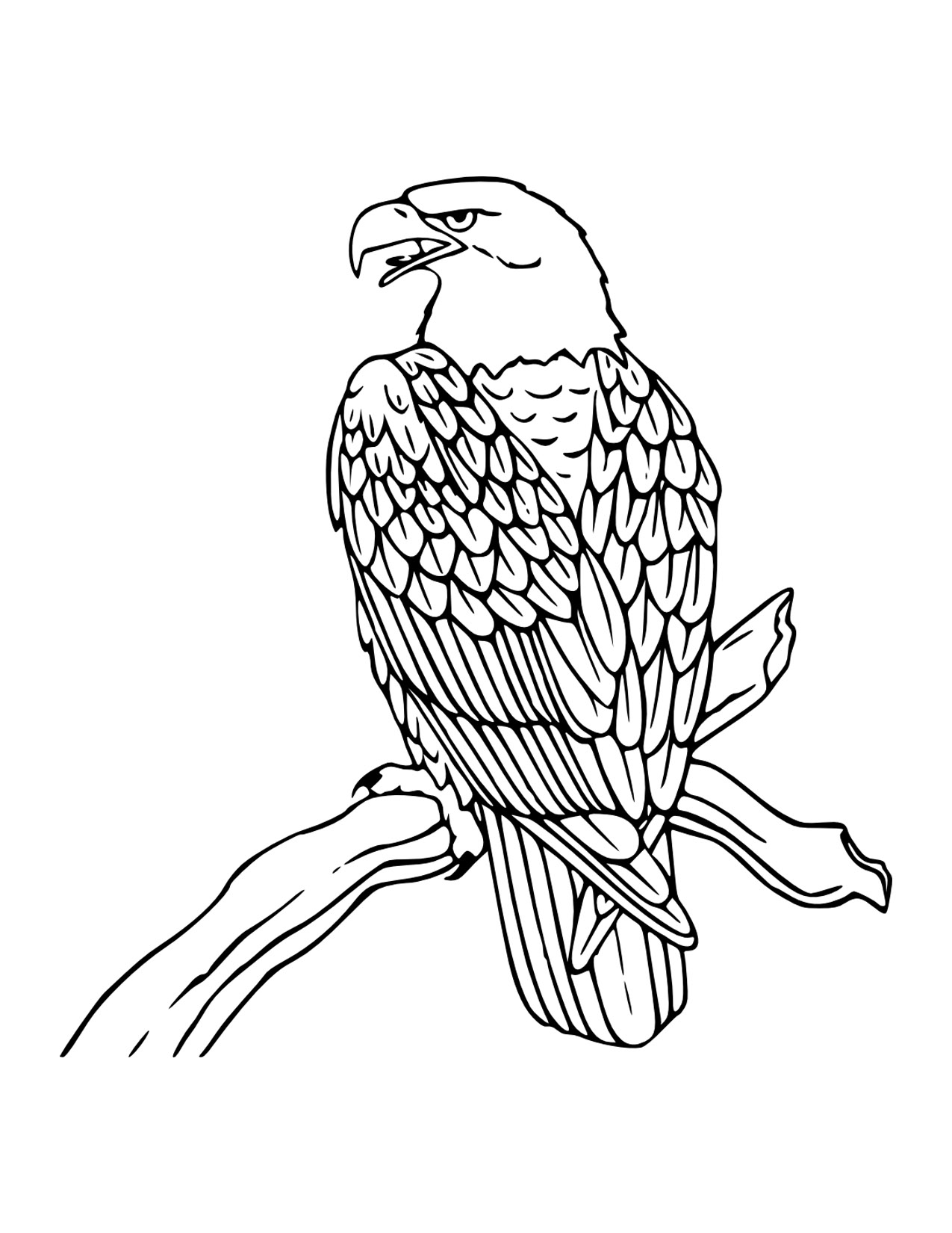 Eagles Printable Coloring Pages