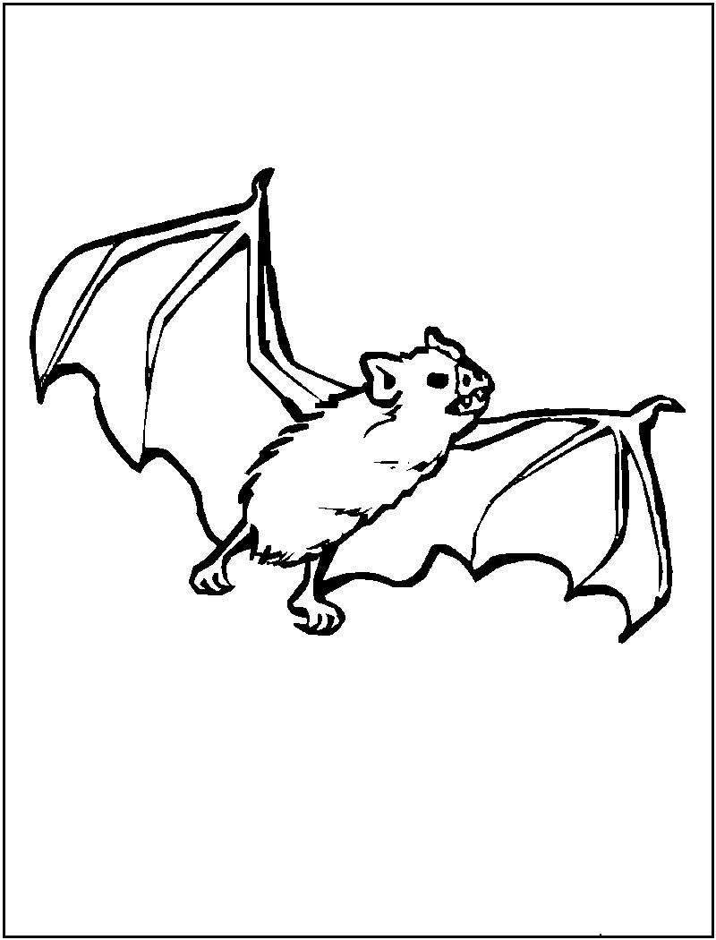 Bat Coloring Page