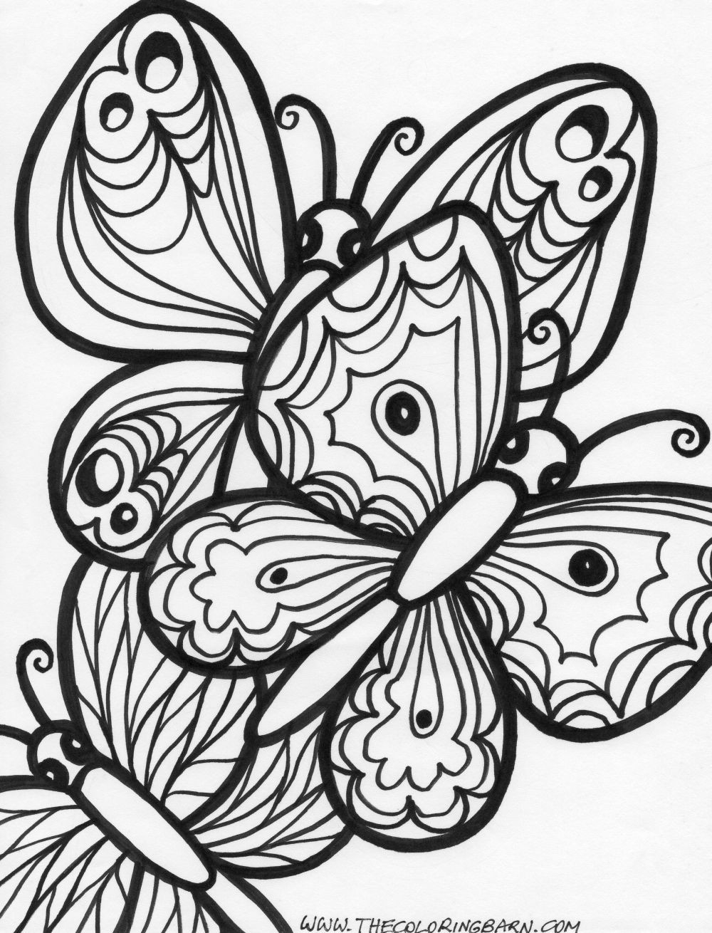 Free Printable Butterfly Coloring Pages For Adults At GetDrawings Free Download