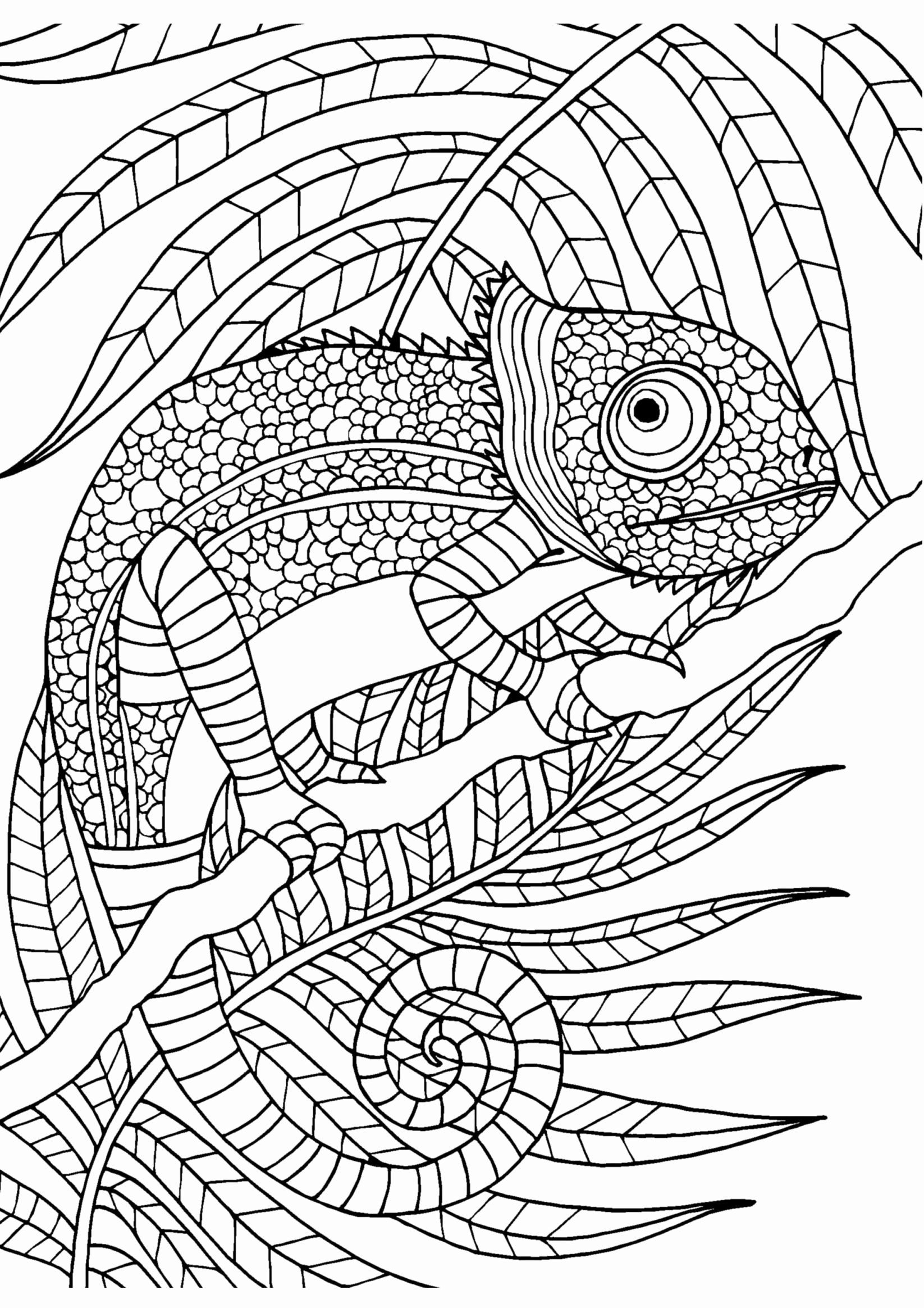 Free Printable Coloring Pages For Adults Advanced Pdf Coloring Page Blog