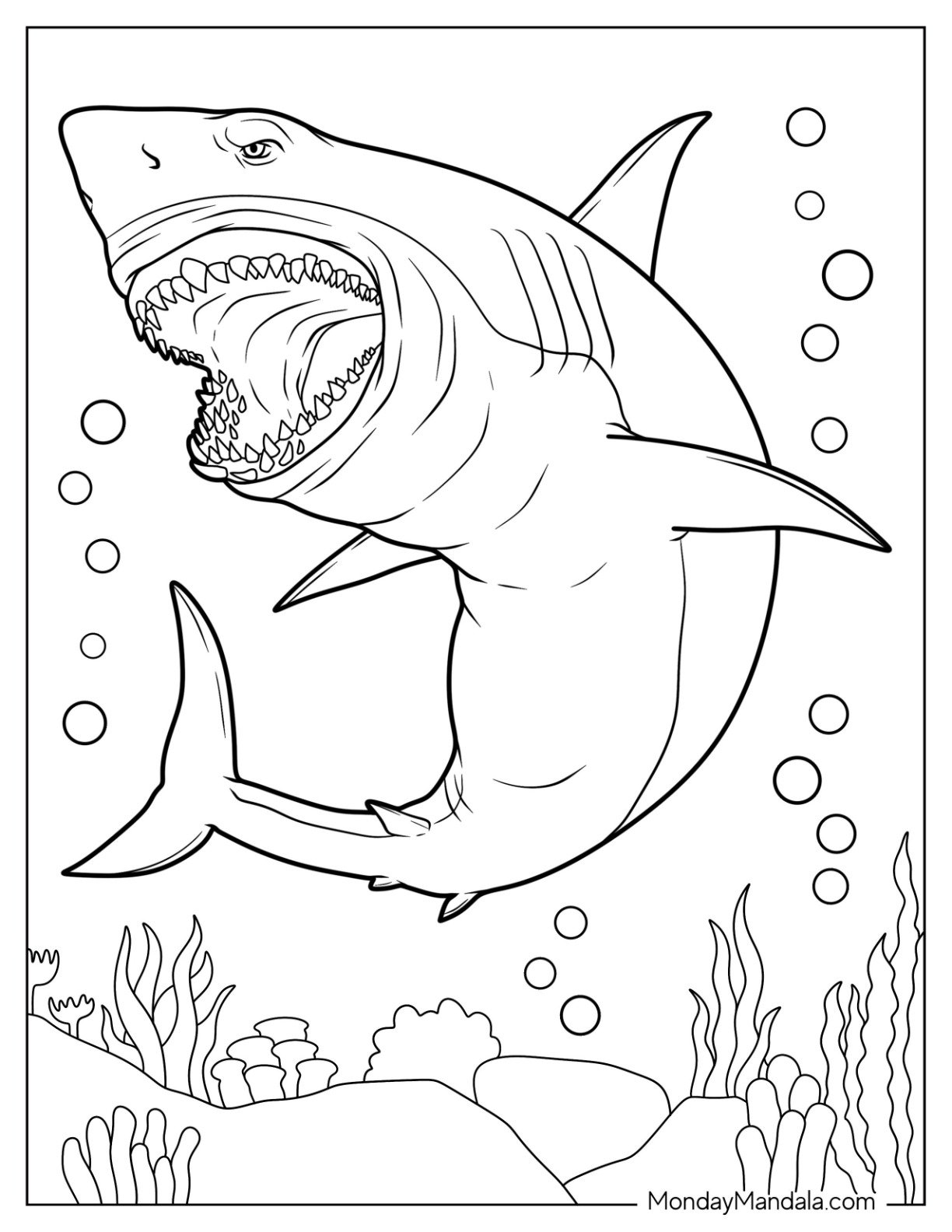 Coloring Pages Sharks