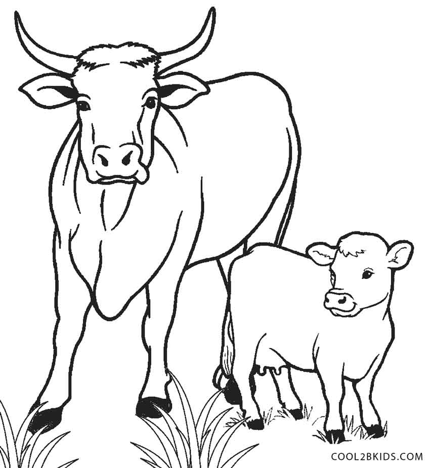 Free Printable Cow Coloring Pages For Kids Cool2bKids