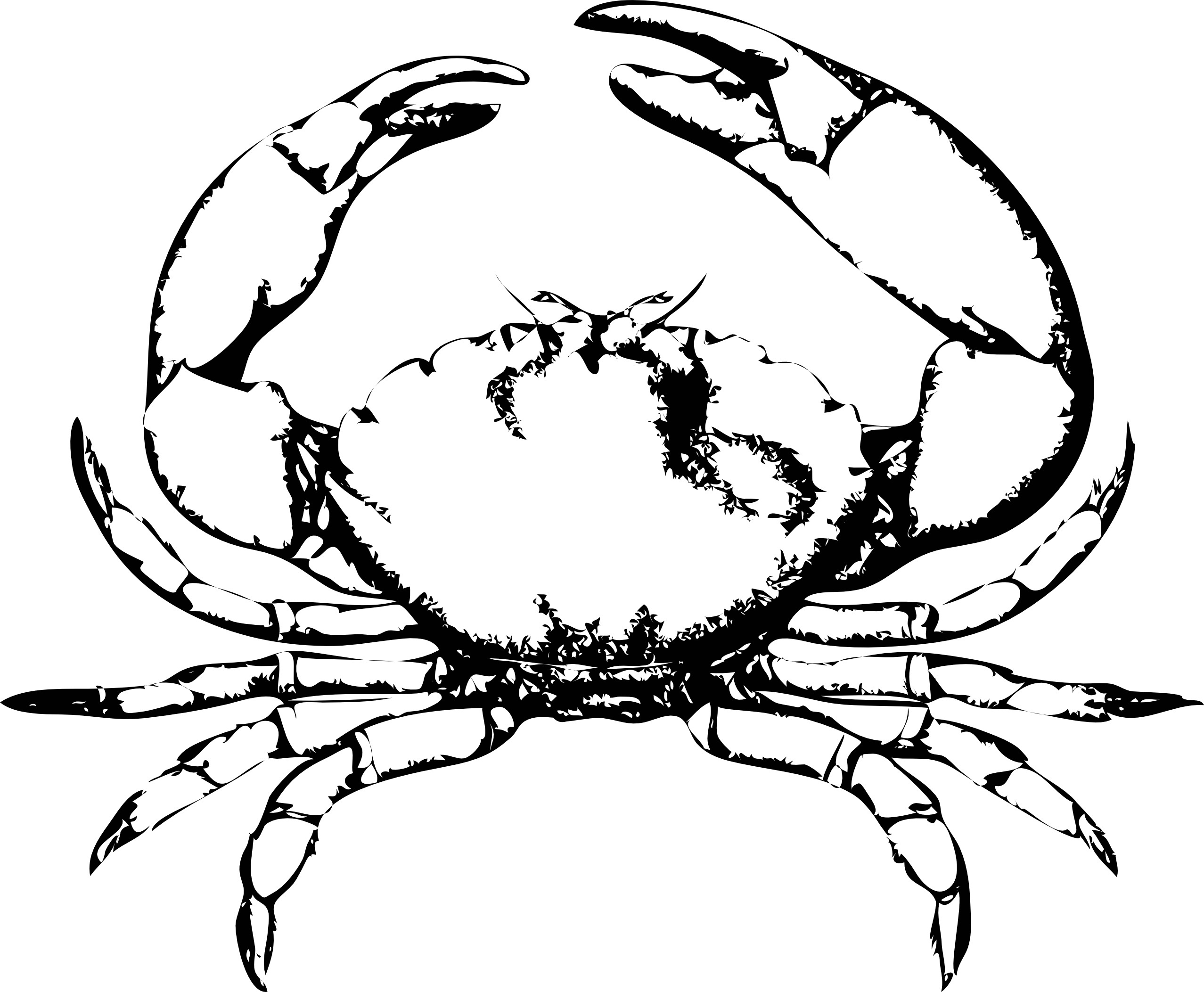 Free Printable Crab Coloring Pages For Kids