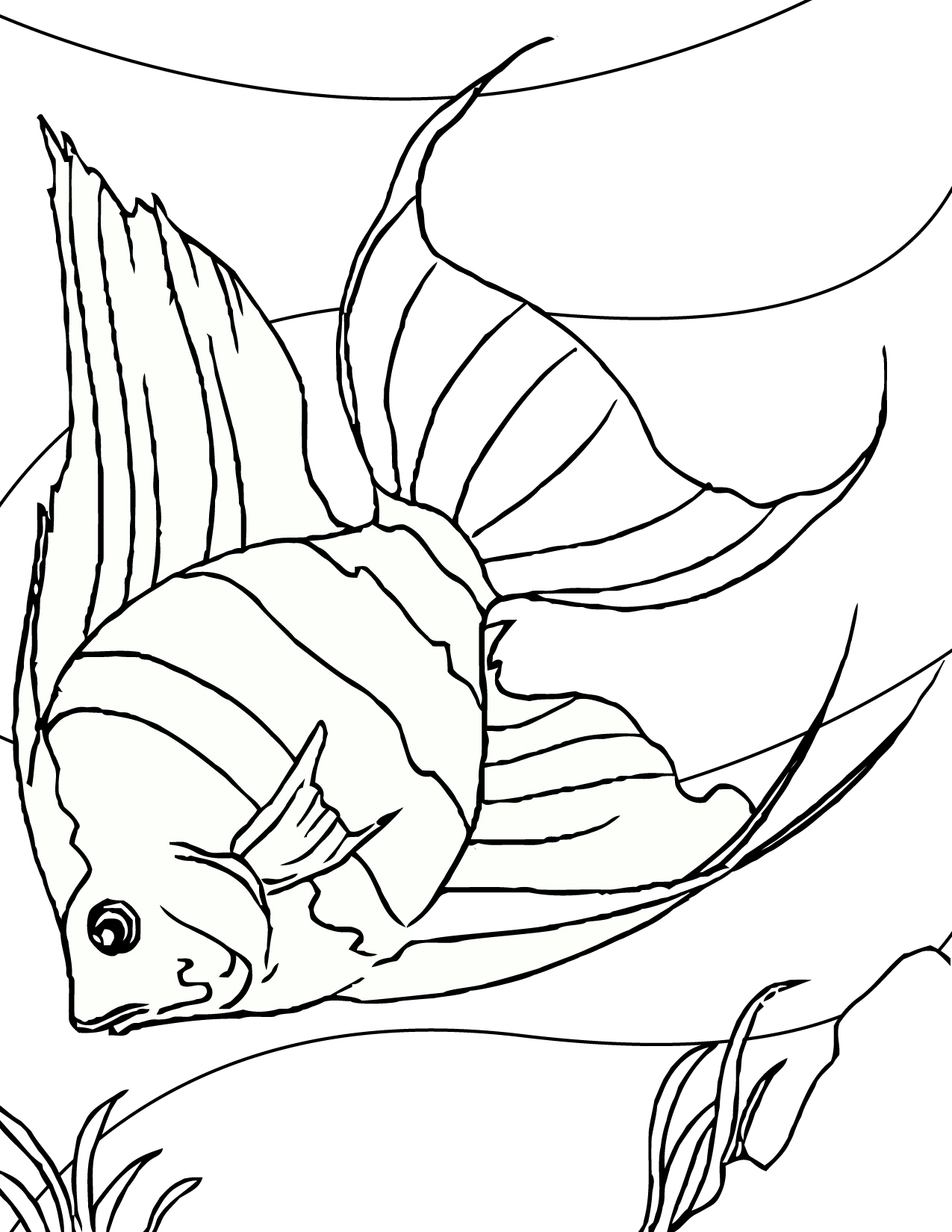 Fish Coloring Pages Printable Free
