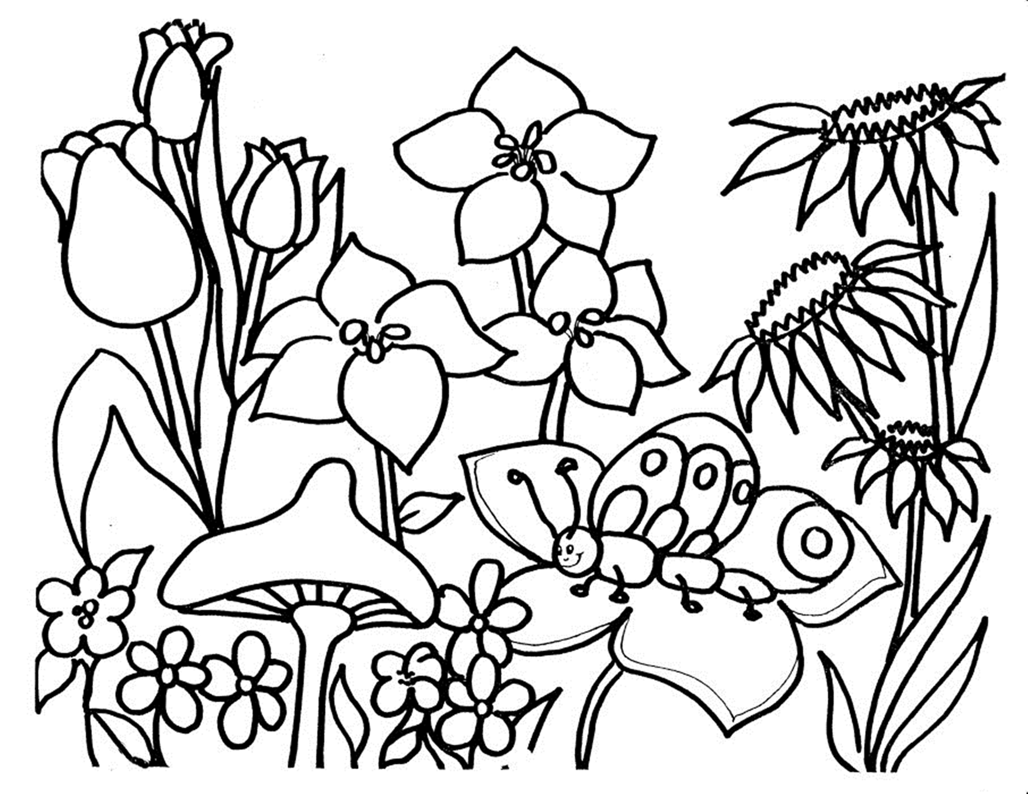 Free Printable Flower Coloring Pages For Kids Best Coloring Pages For Kids