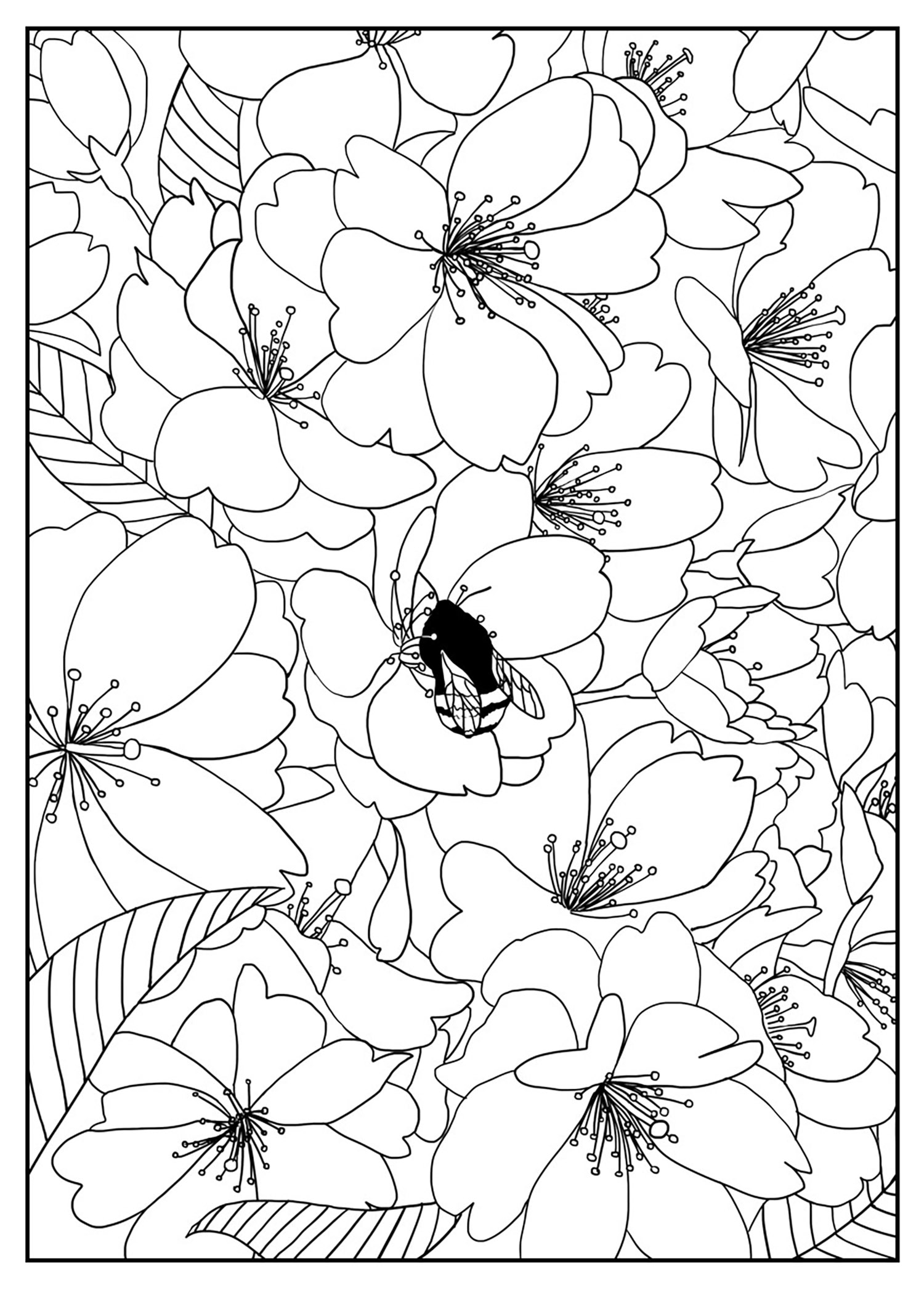 Free Printable Flower Coloring Pages For Kids Best Coloring Pages For Kids