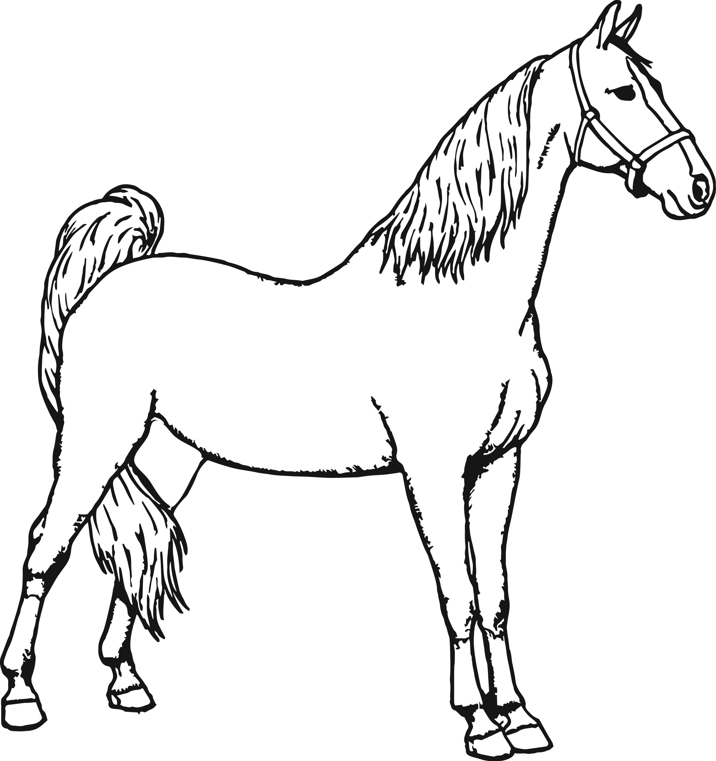Free Printable Horse Coloring Pages At GetColorings Free Printable Colorings Pages To