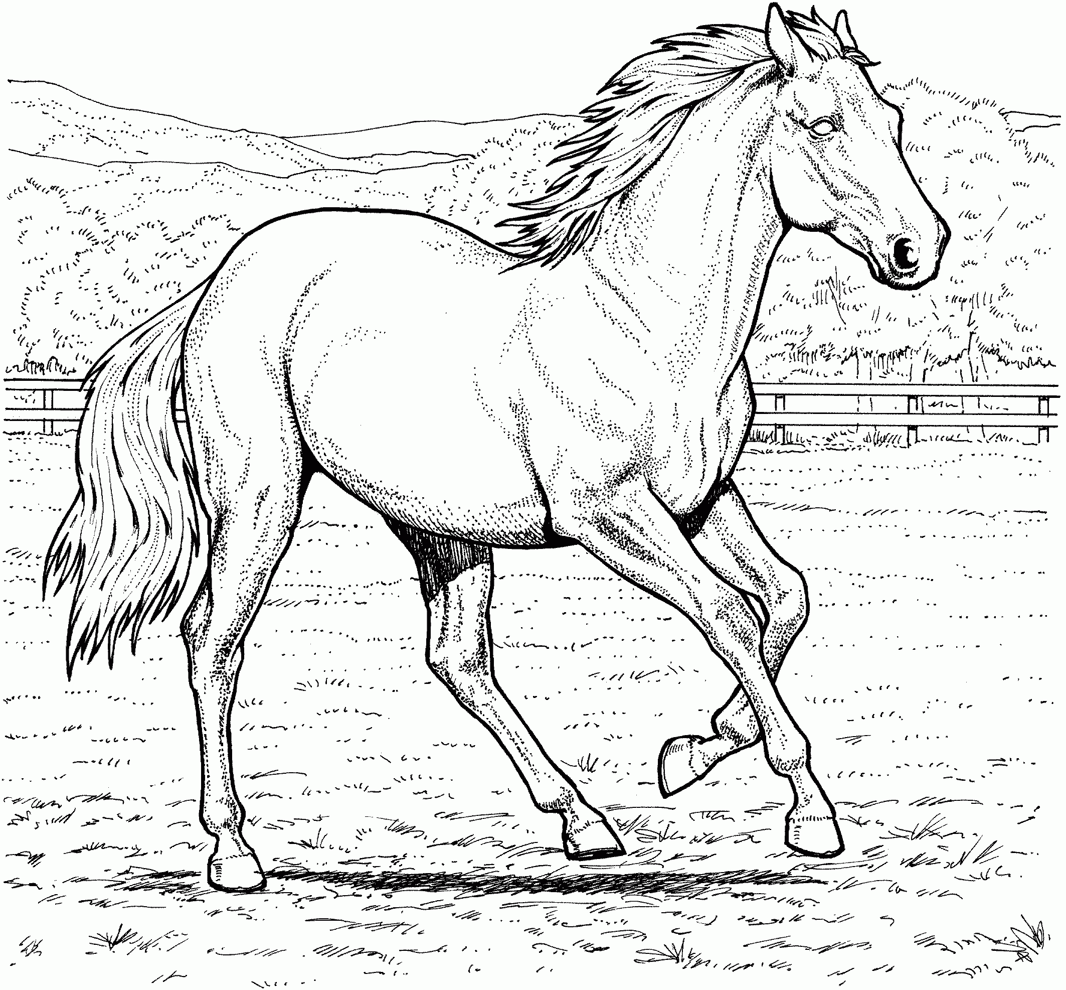 Horse Coloring Pages For Preschoolers