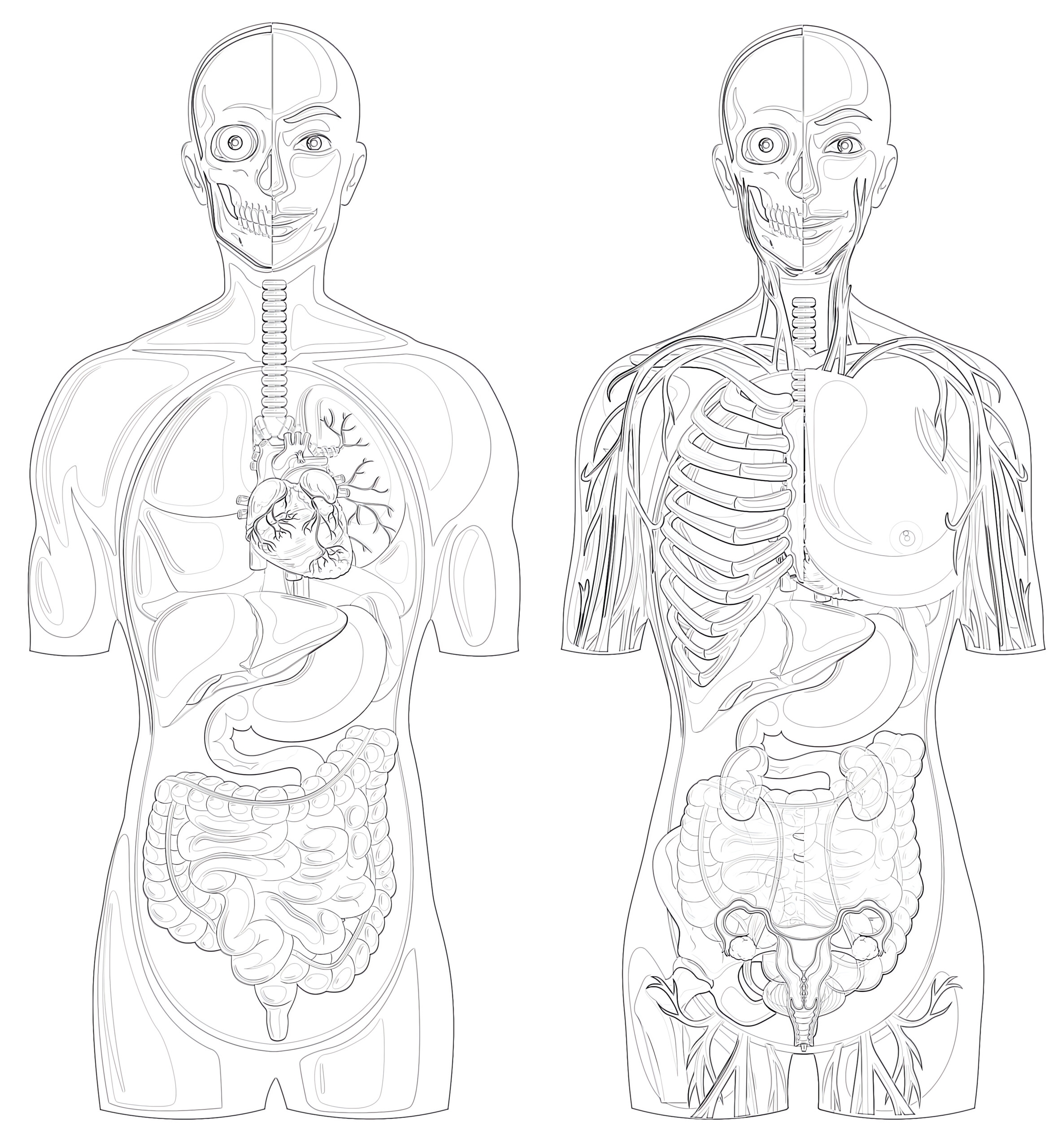 Free Printable Human Anatomy Coloring Pages Free Printable Rainy Weathers