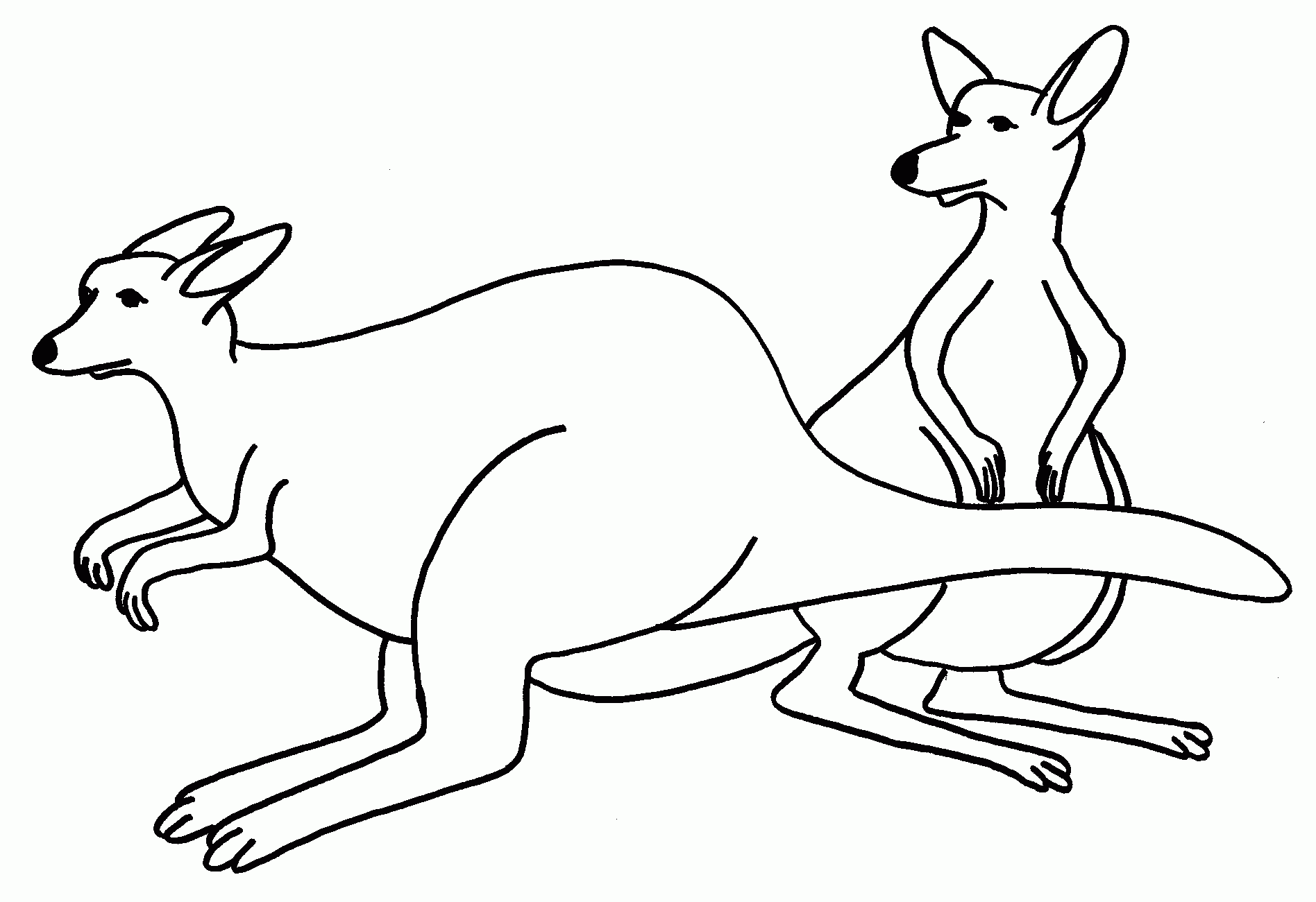 Kangaroo Coloring Page Free